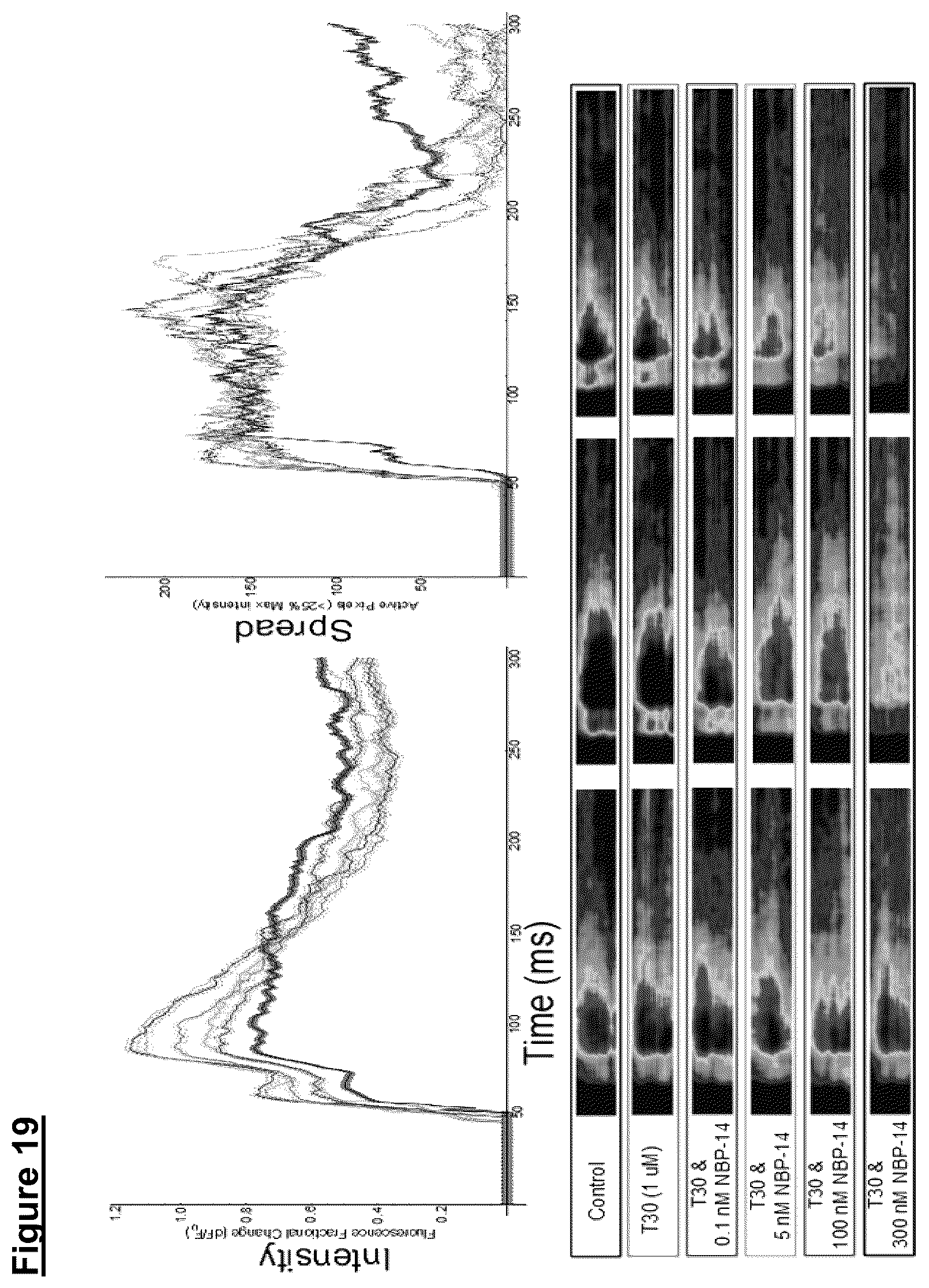 Patent US12139729 Figure 15 – Neurodegenerative disorders