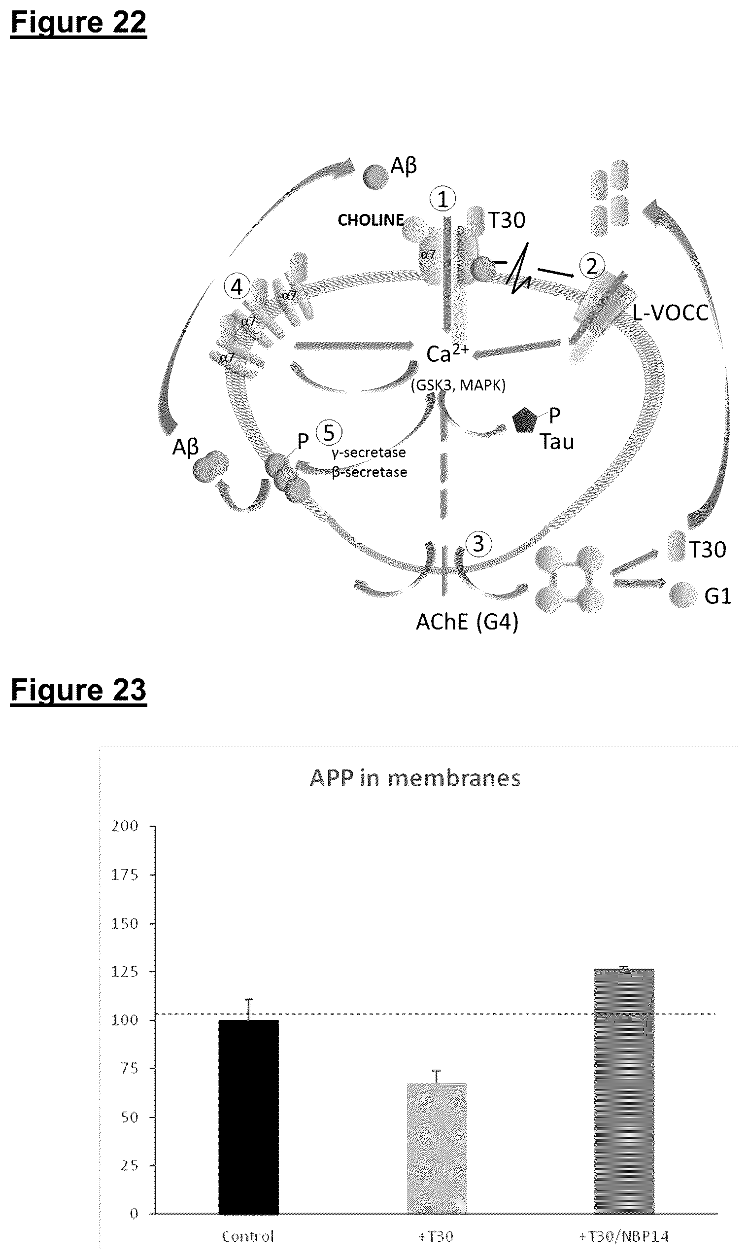 Patent US12139729 Figure 17 – Neurodegenerative disorders
