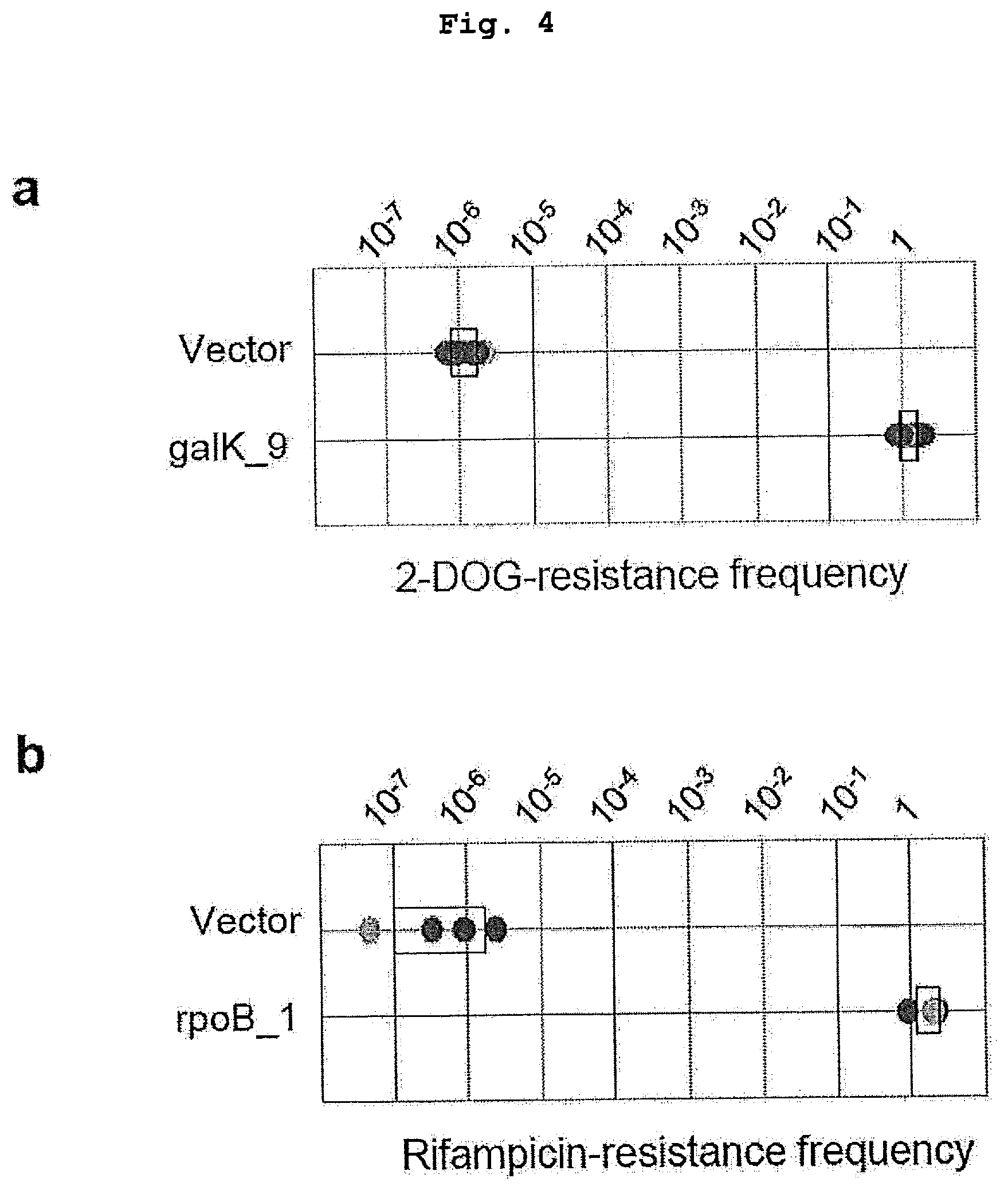 Patent US12139730 Figure 4 – Complex for genome editing having stability and few side-effects, and nucleic acid coding same