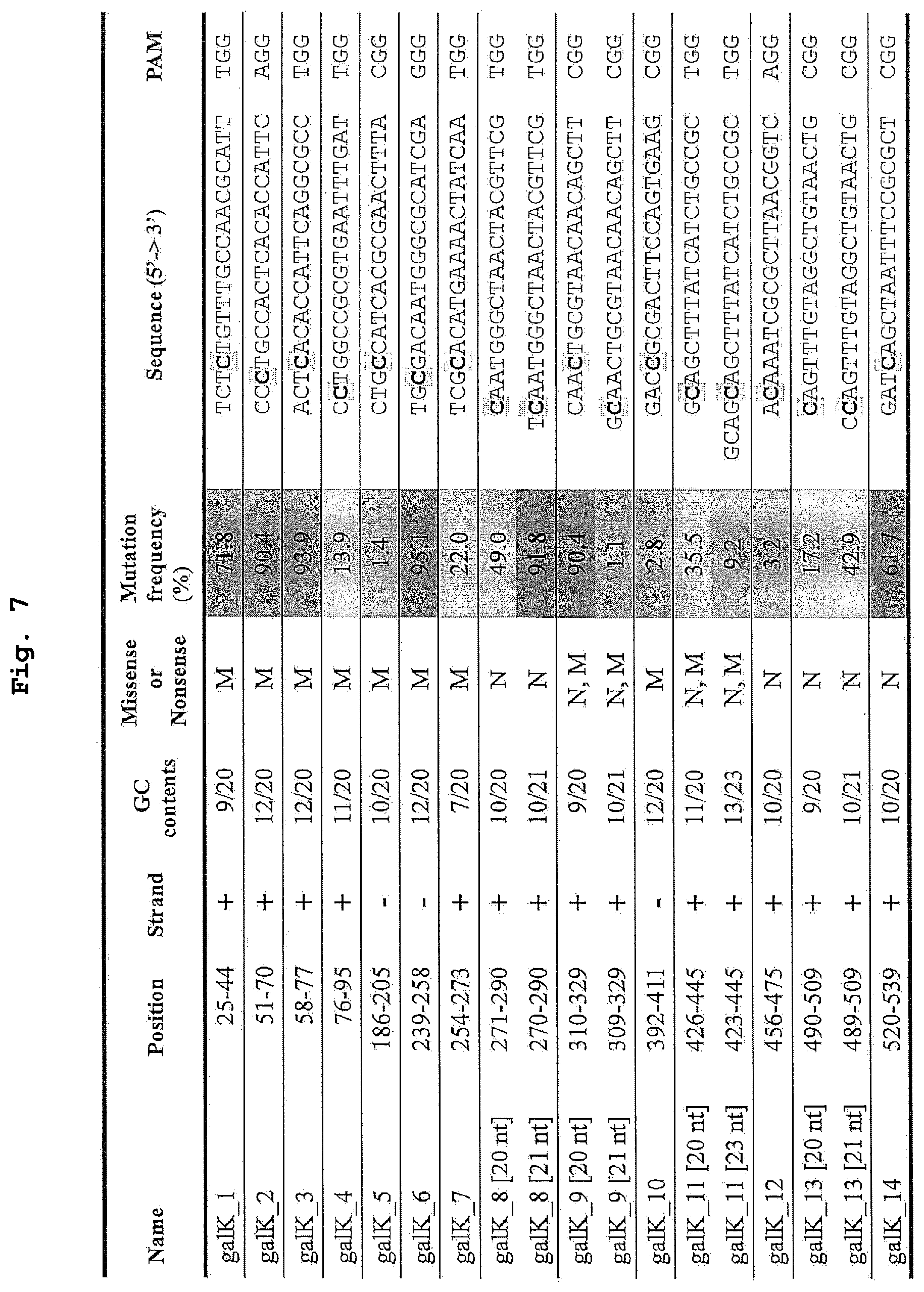 Patent US12139730 Figure 7 – Complex for genome editing having stability and few side-effects, and nucleic acid coding same