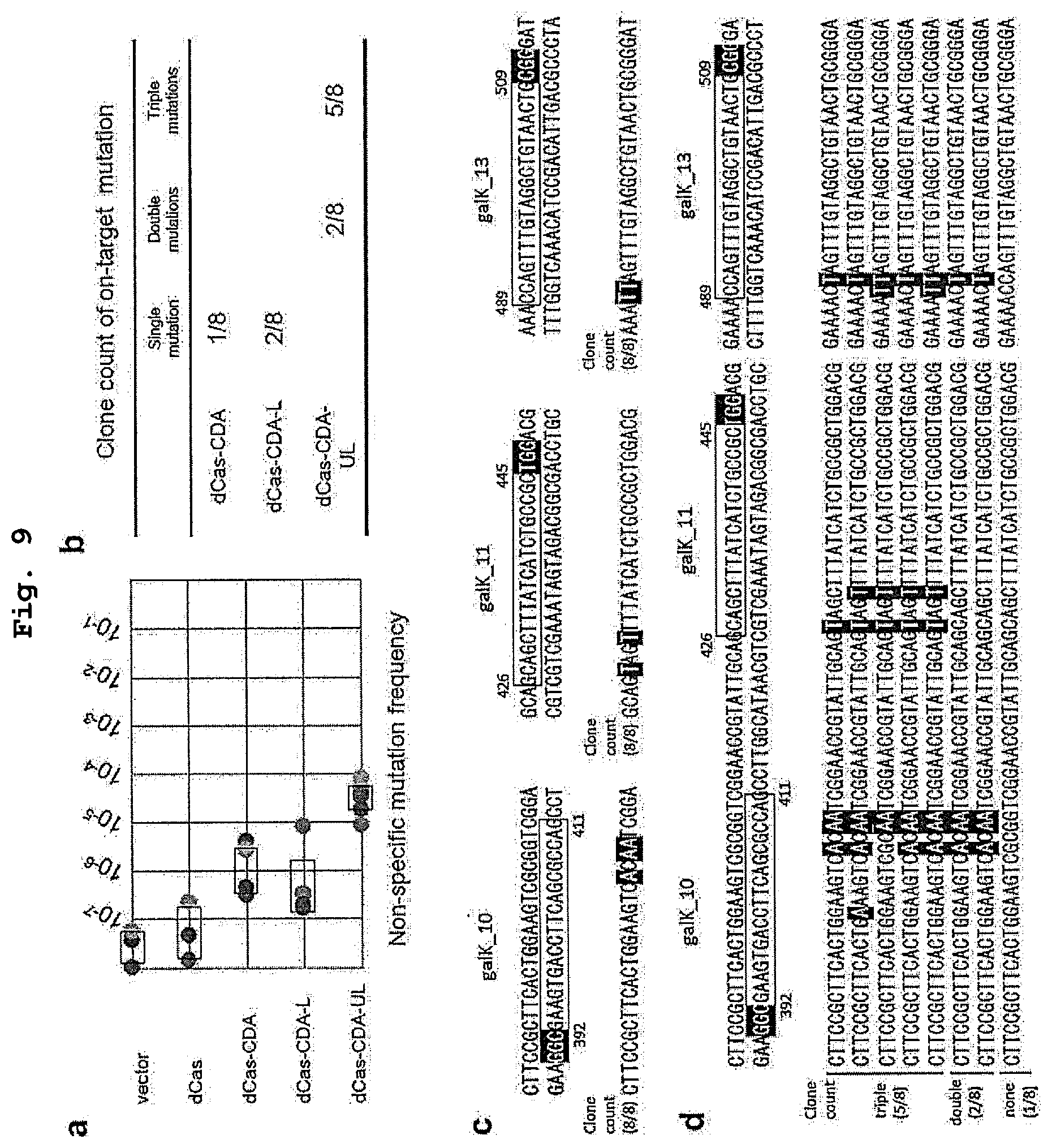 Patent US12139730 Figure 9 – Complex for genome editing having stability and few side-effects, and nucleic acid coding same