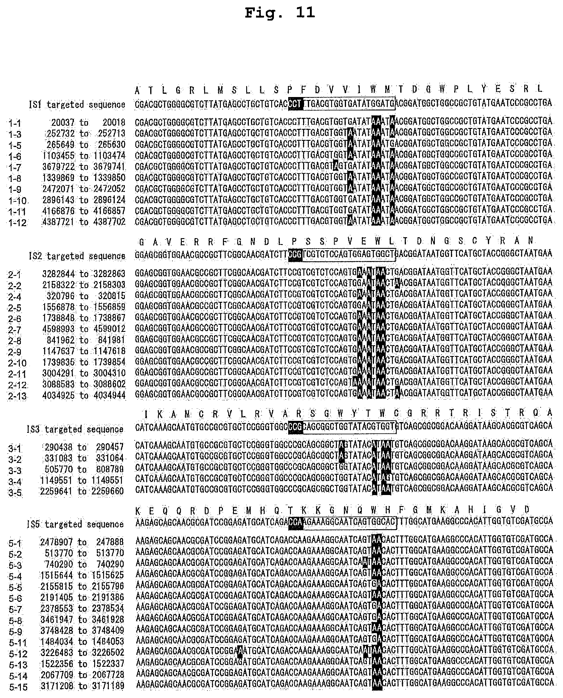 Patent US12139730 Figure 11 – Complex for genome editing having stability and few side-effects, and nucleic acid coding same