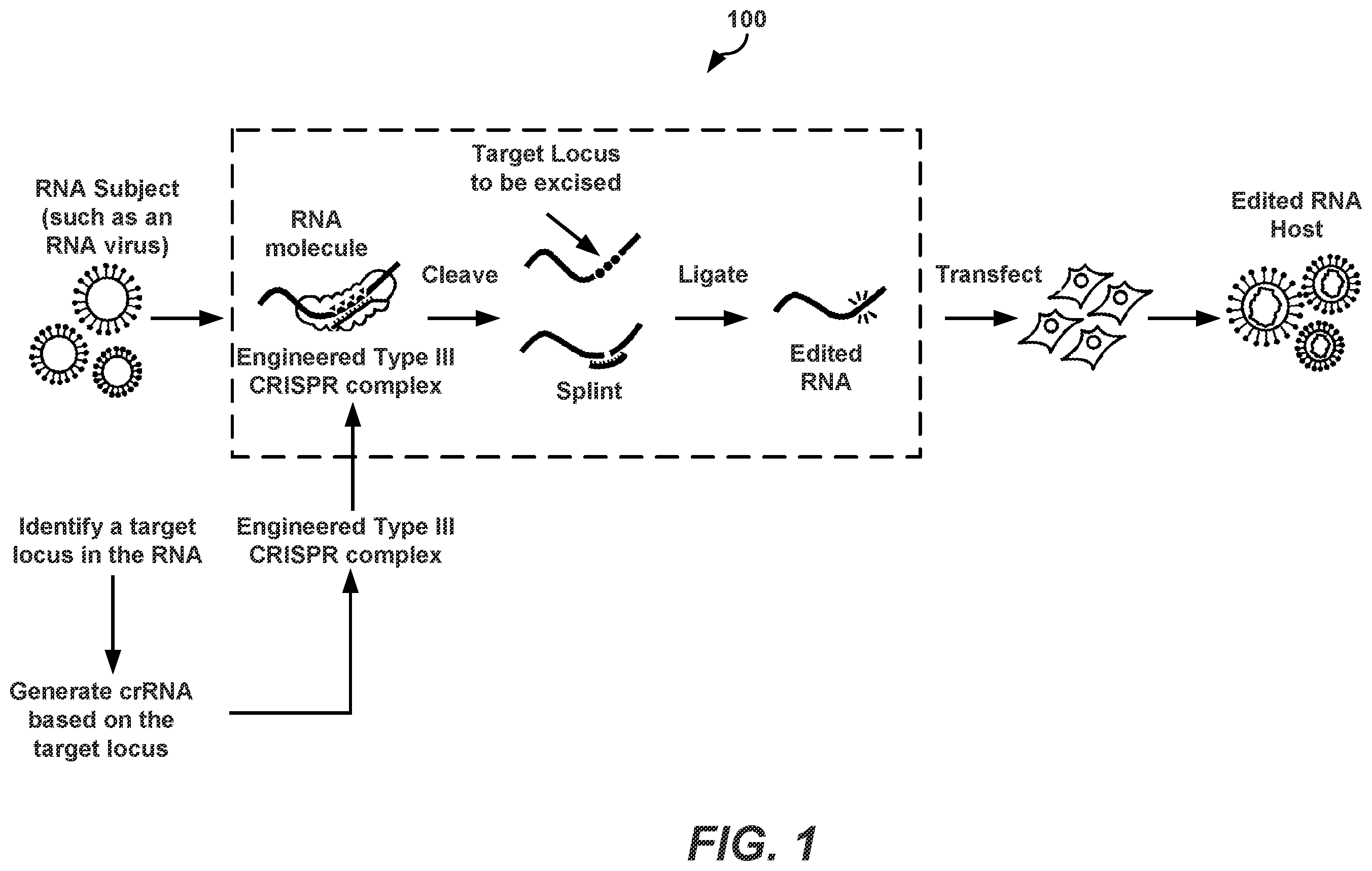 Patent US12139731 — CRISPR-based programmable RNA editing — Figure 1