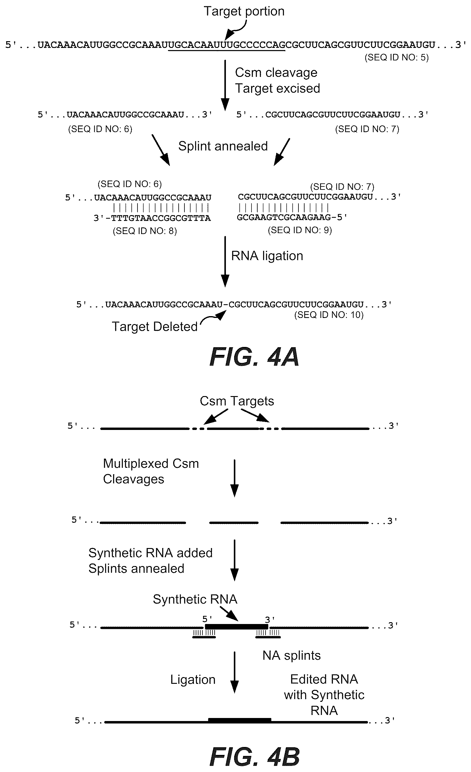 Patent US12139731 Figure 4 – CRISPR-based programmable RNA editing