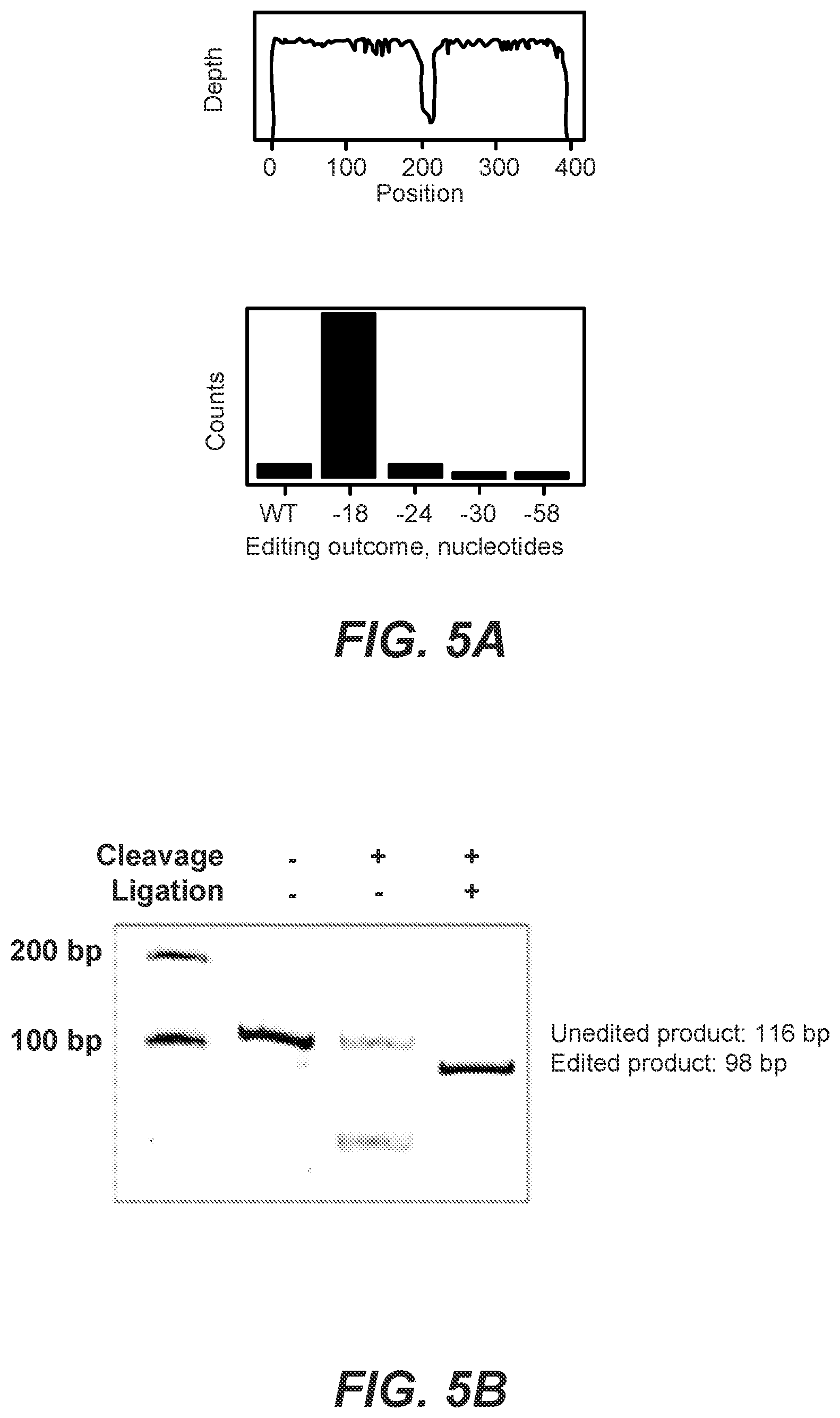 Patent US12139731 Figure 5 – CRISPR-based programmable RNA editing