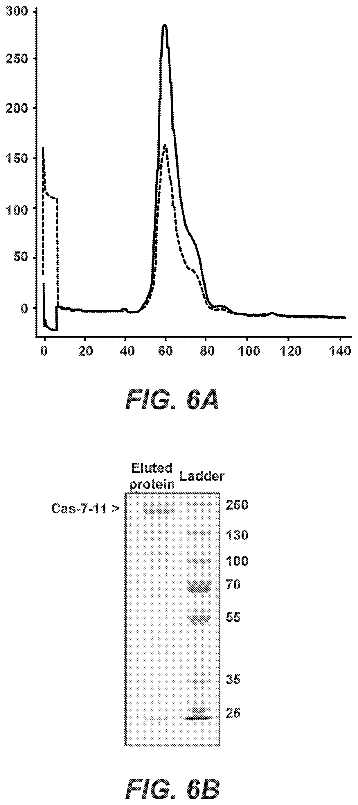 Patent US12139731 Figure 6 – CRISPR-based programmable RNA editing