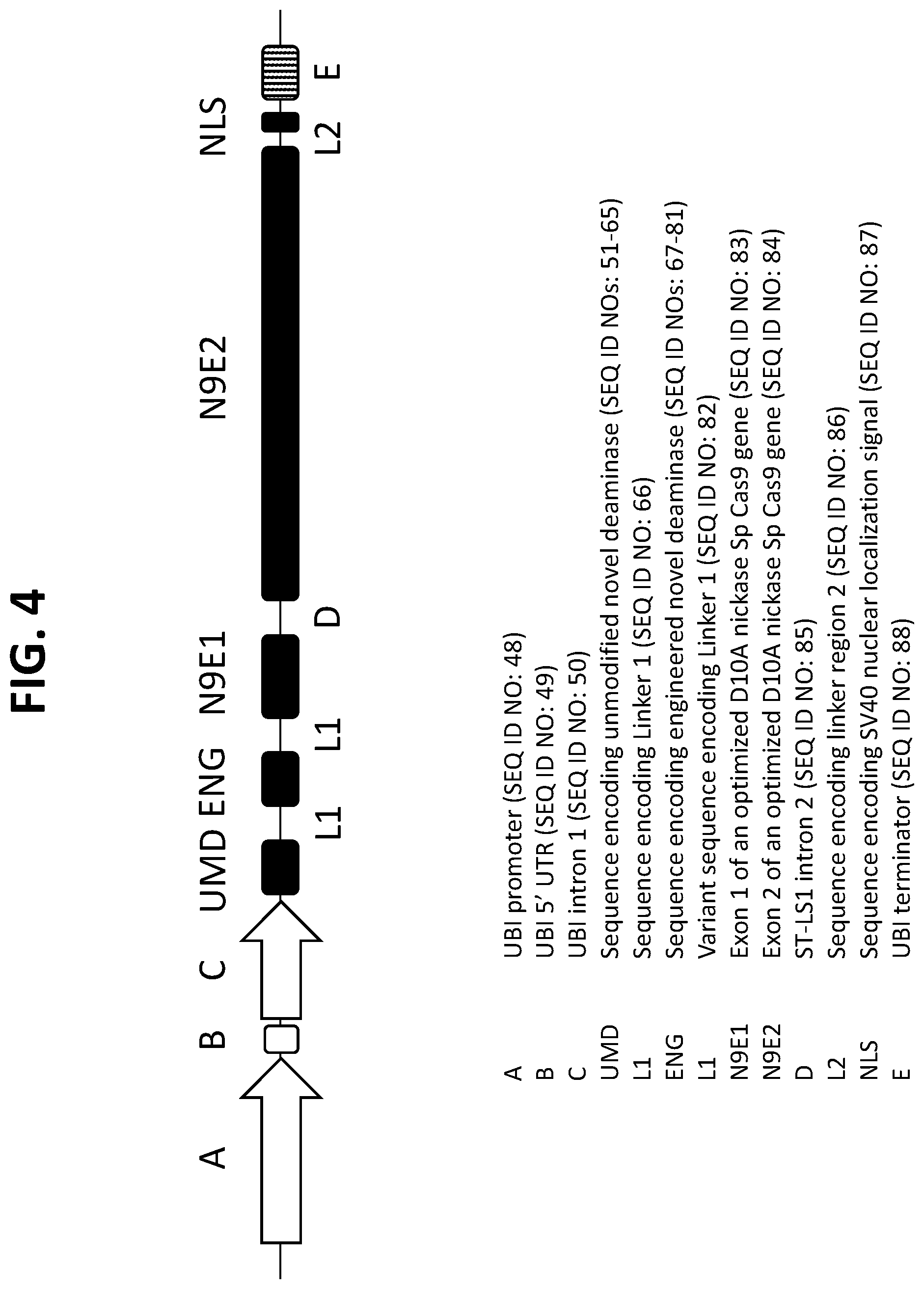 Patent US12139732 Figure 4 – Engineered deaminases