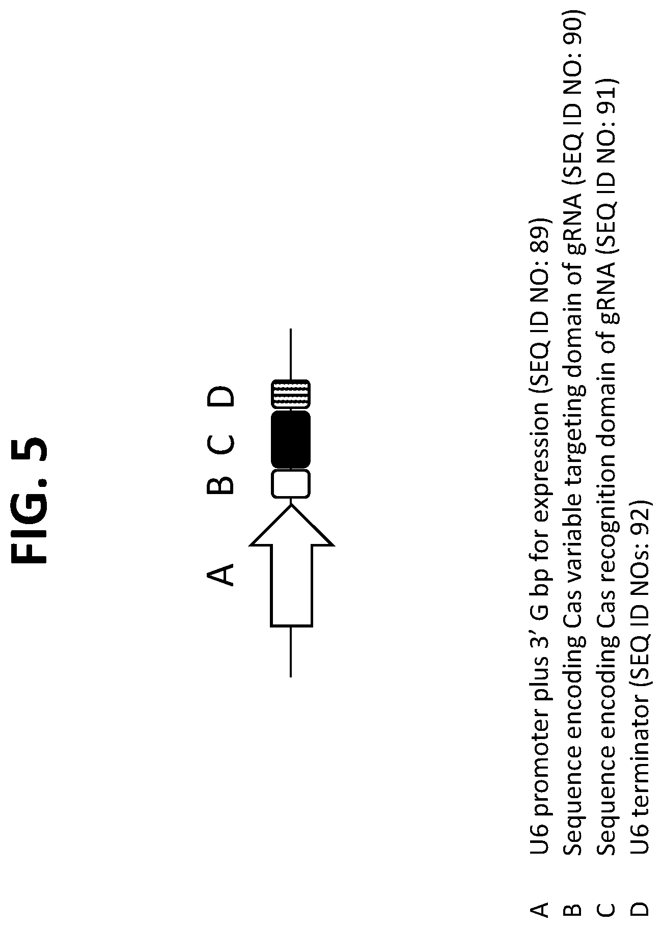 Patent US12139732 Figure 5 – Engineered deaminases