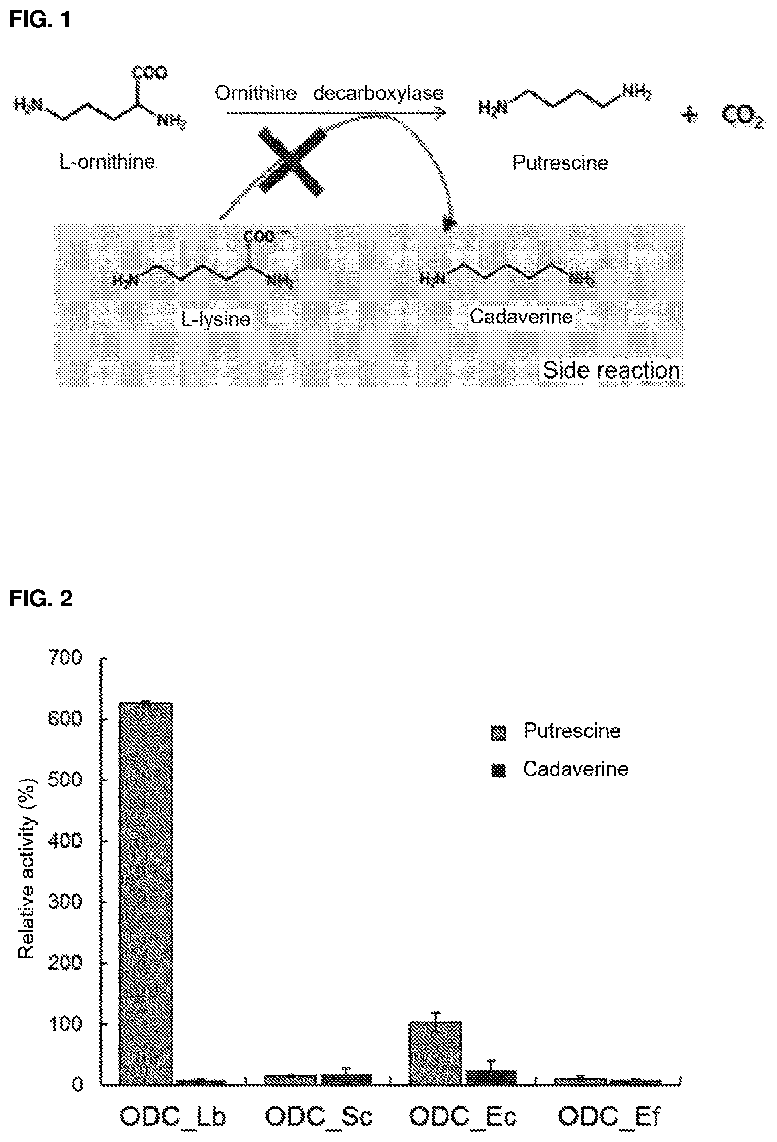 Patent US12139733 Figure 1 – Ornithine decarboxylase variant and method for producing putrescine by using same