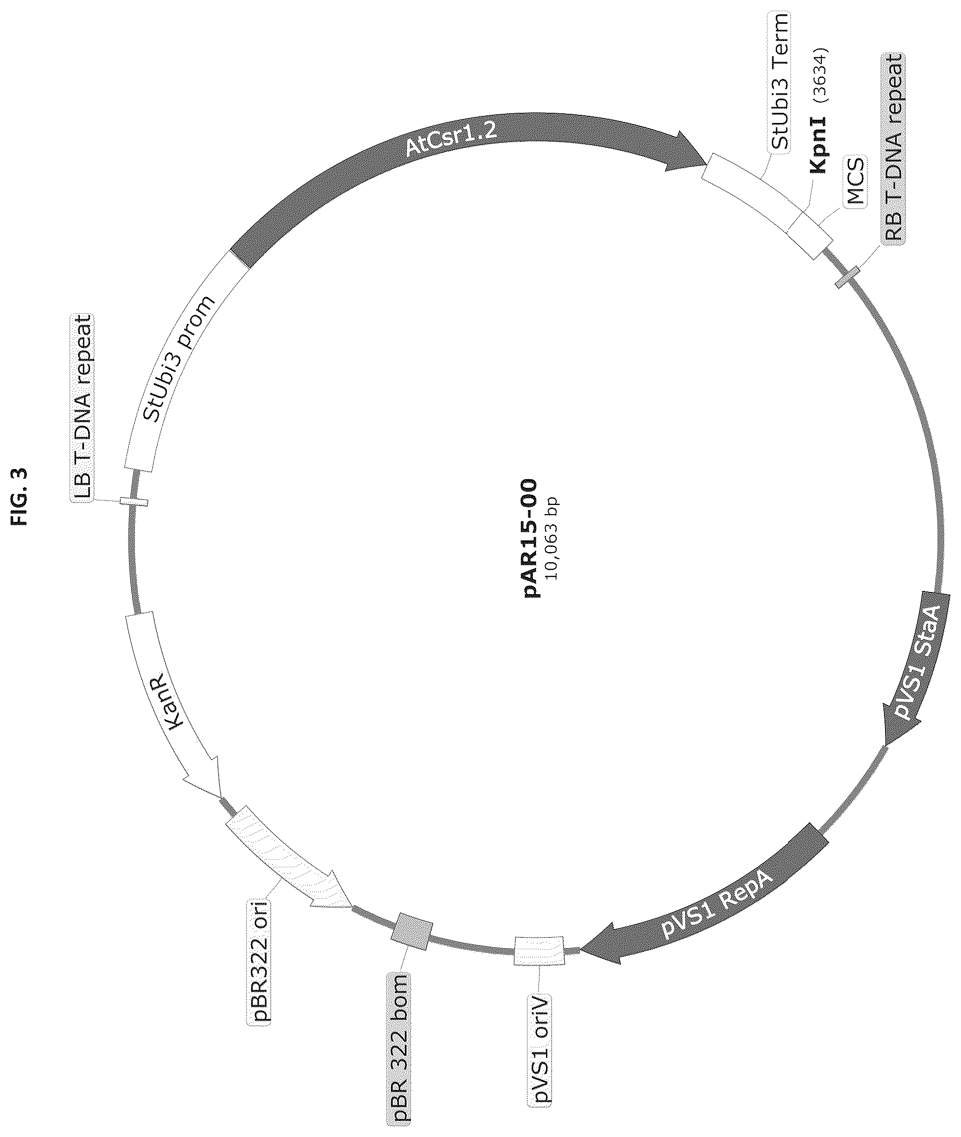 Patent US12139737 Figure 3 – Host cells comprising a recombinant casein protein and a recombinant kinase protein