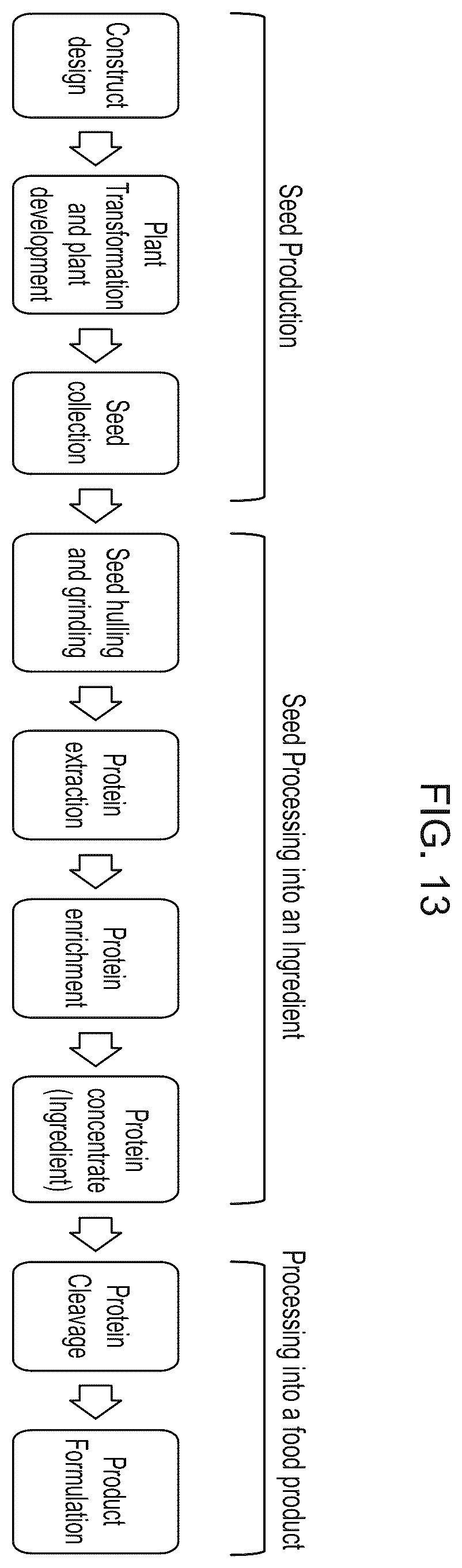 Patent US12139737 Figure 8 – Host cells comprising a recombinant casein protein and a recombinant kinase protein