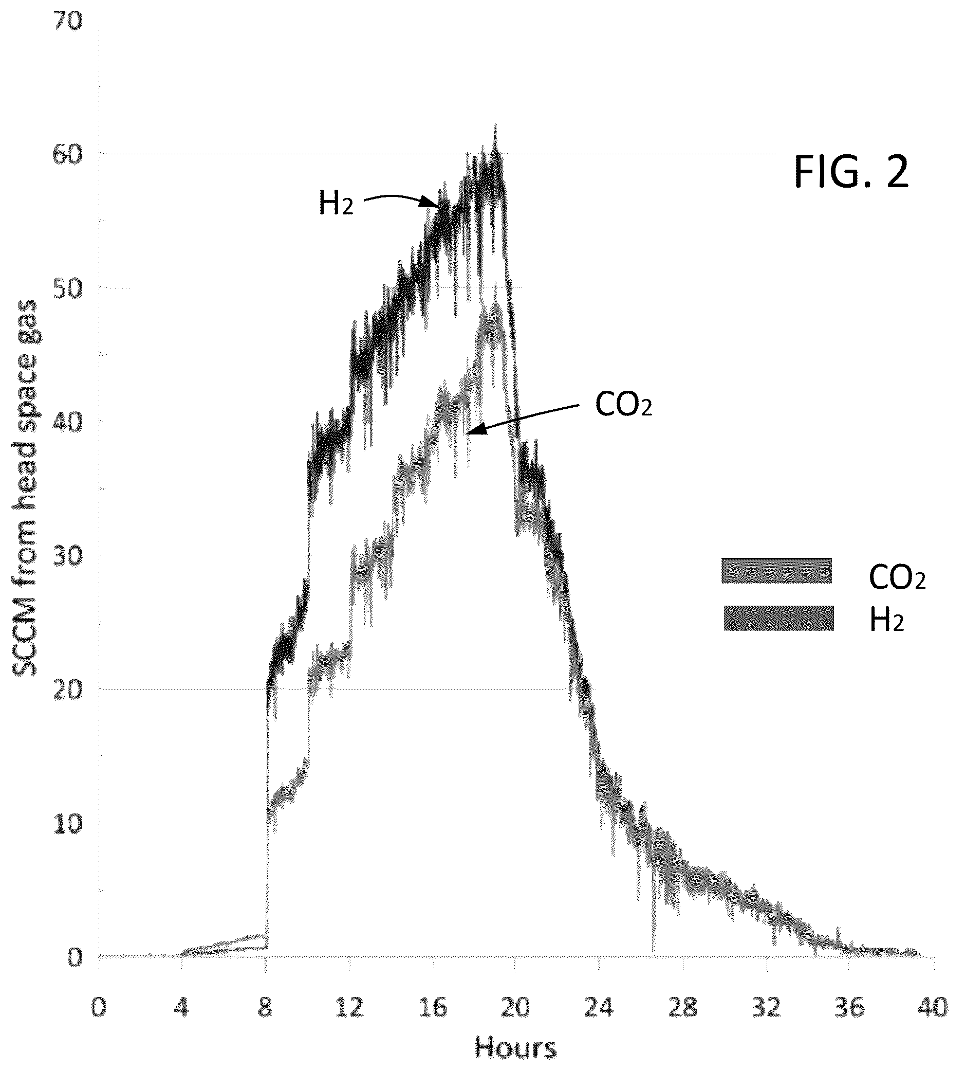 Patent US12139738 Figure 2 – Processes and systems for biological hydrogen production from organic waste using yeast