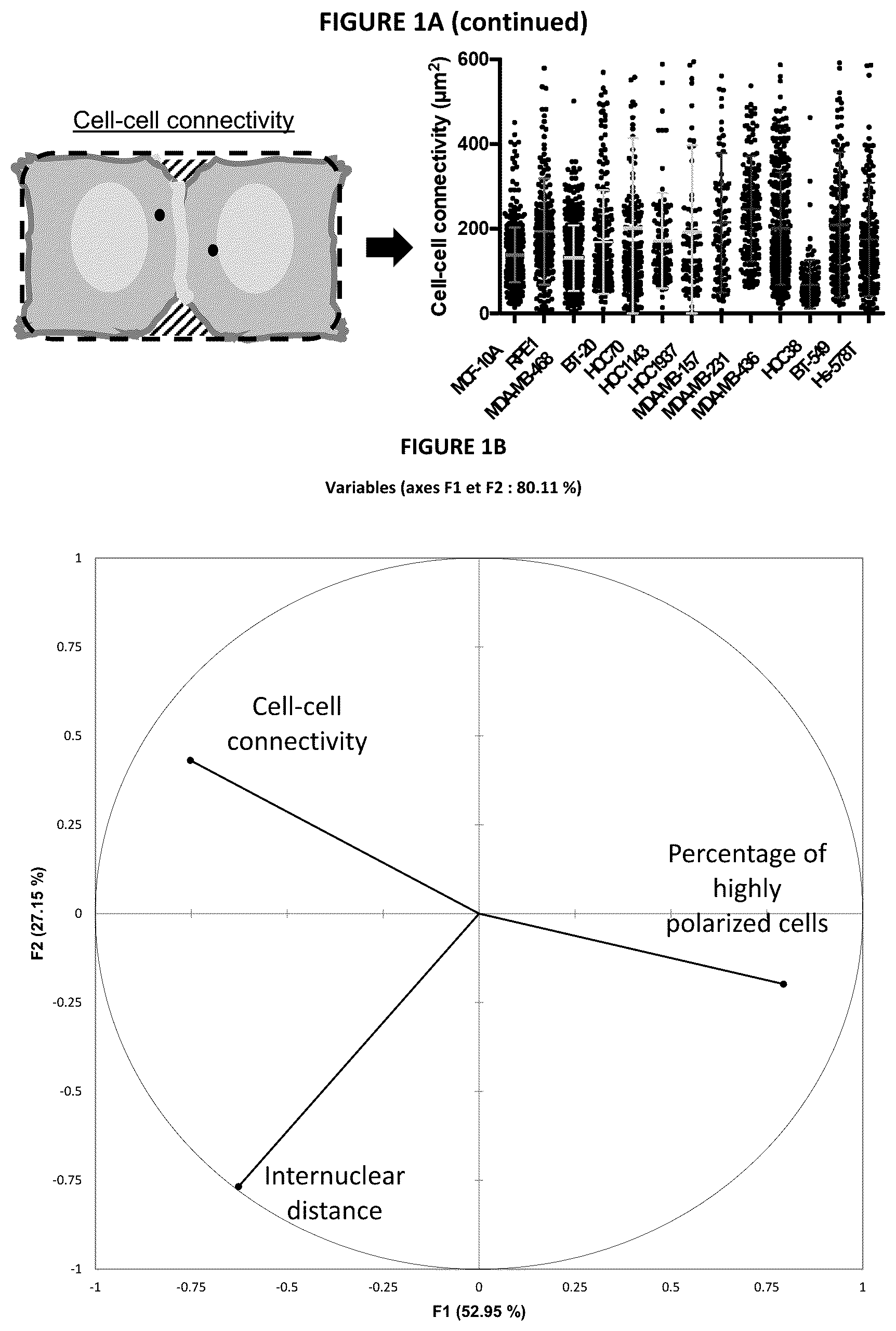 Patent US12139740 Figure 2 – Method for determining the invasive potential of a tumor cell