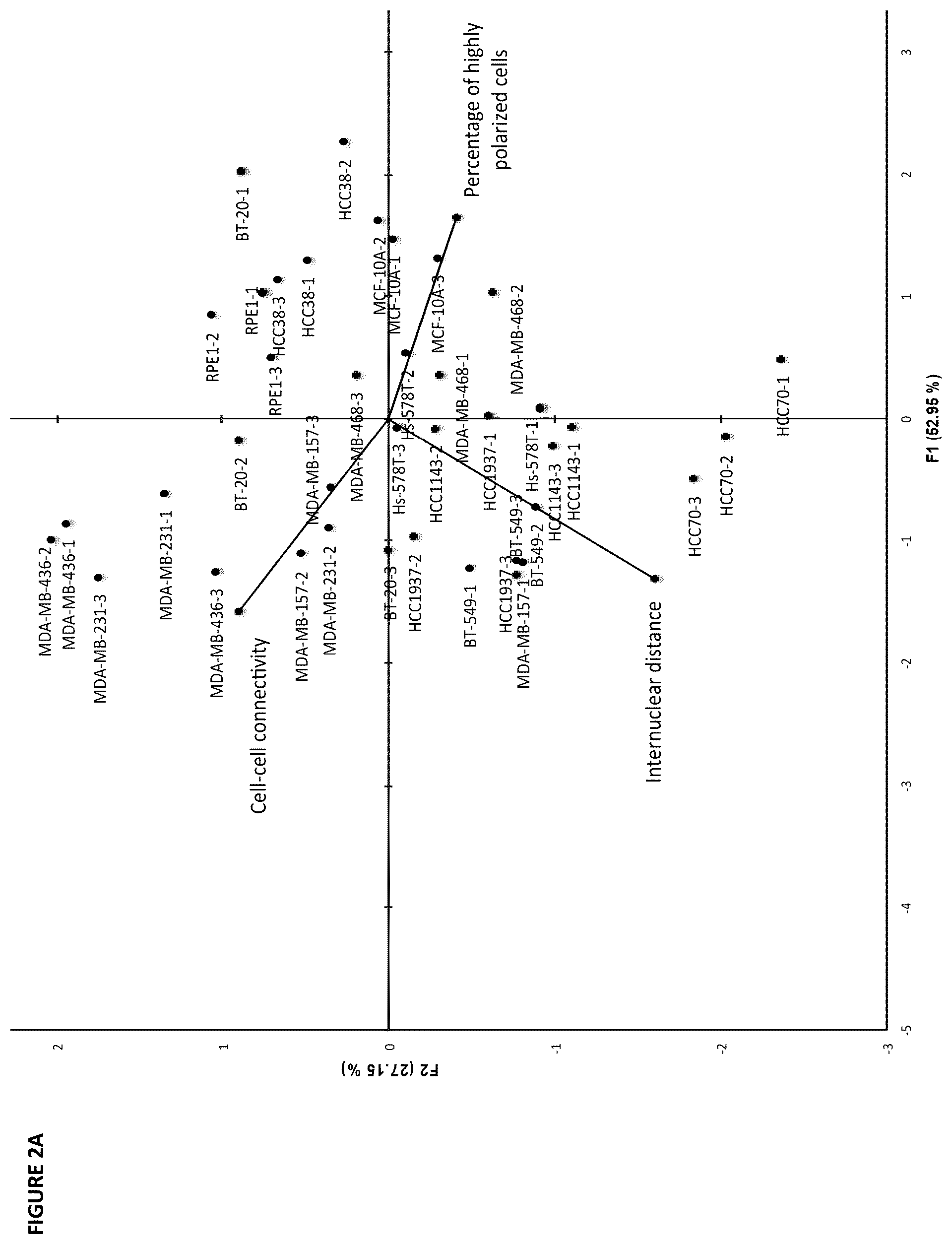 Patent US12139740 Figure 3 – Method for determining the invasive potential of a tumor cell
