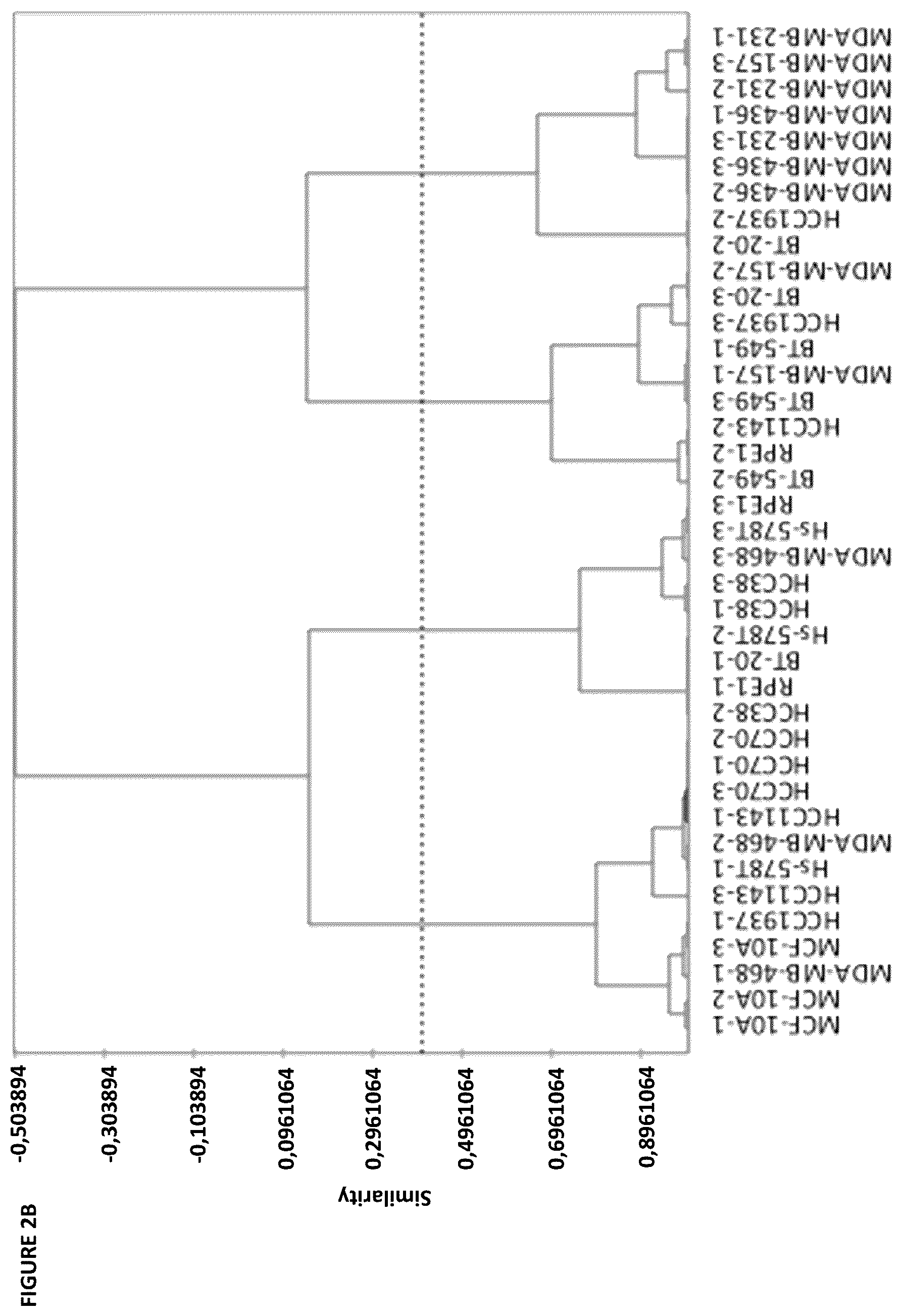 Patent US12139740 Figure 4 – Method for determining the invasive potential of a tumor cell