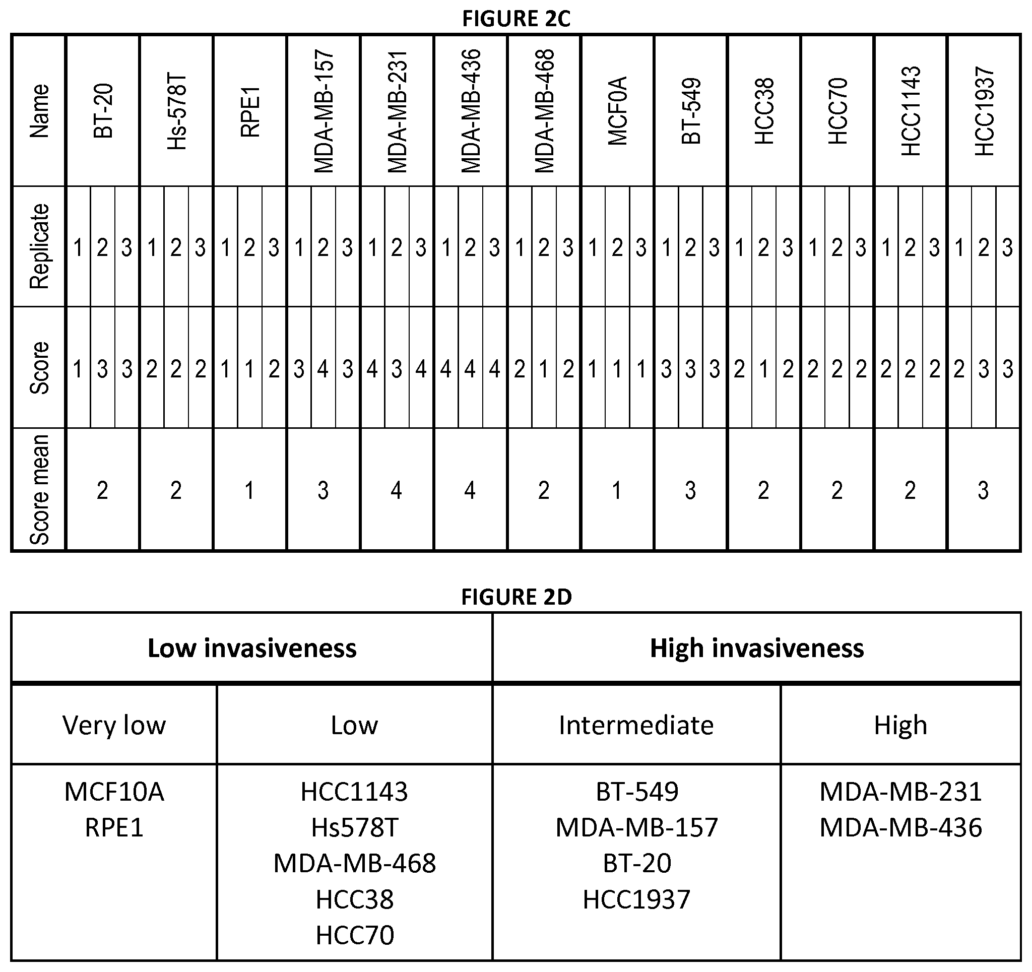 Patent US12139740 Figure 5 – Method for determining the invasive potential of a tumor cell
