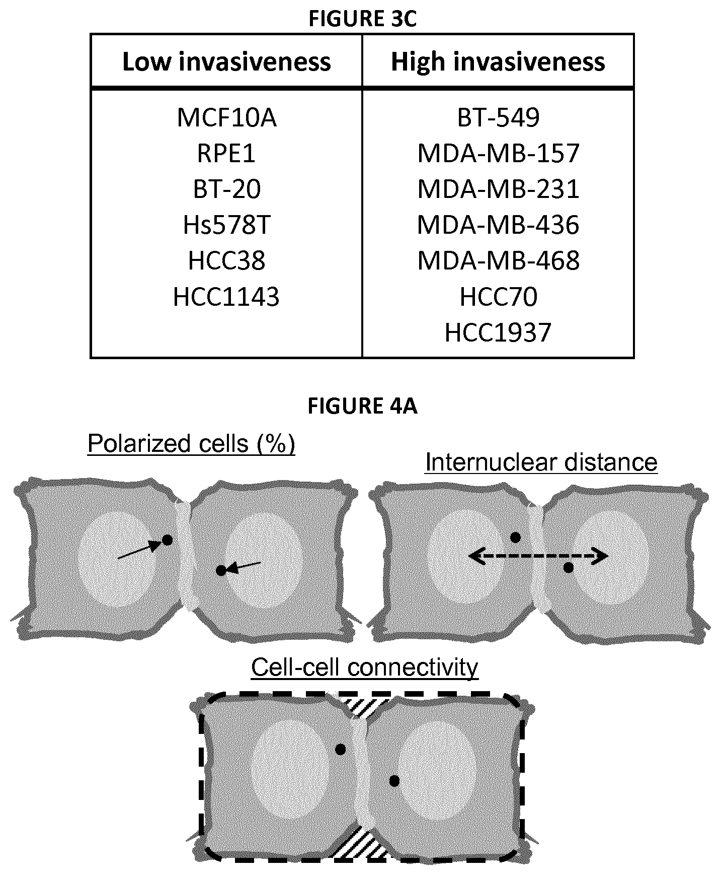 Patent US12139740 Figure 8 – Method for determining the invasive potential of a tumor cell