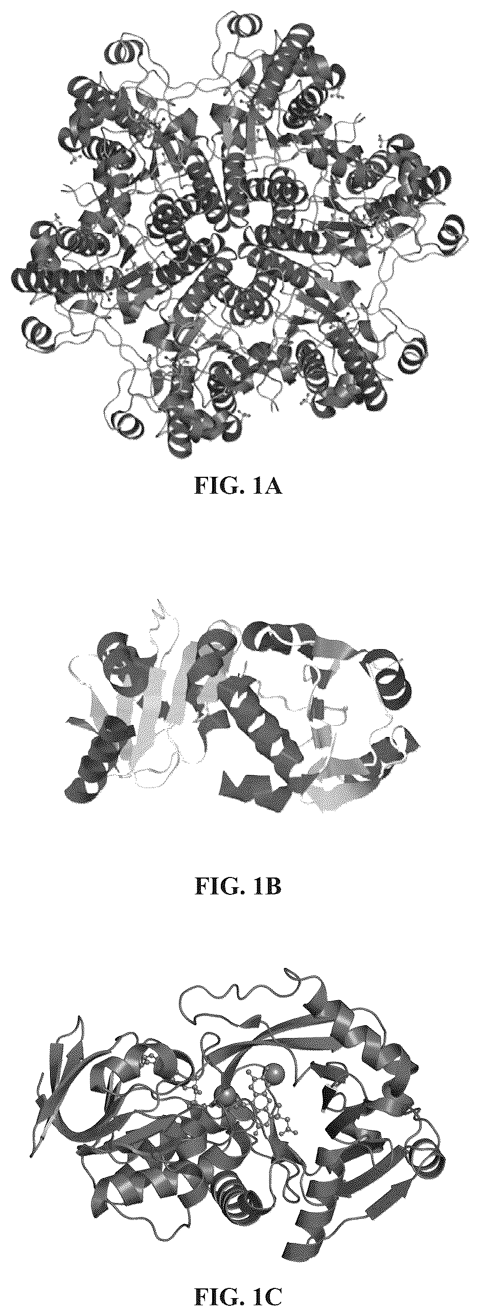 Patent US12139741 Figure 1 – Biocide compositions compatible with enzyme biosensors and methods of use thereof