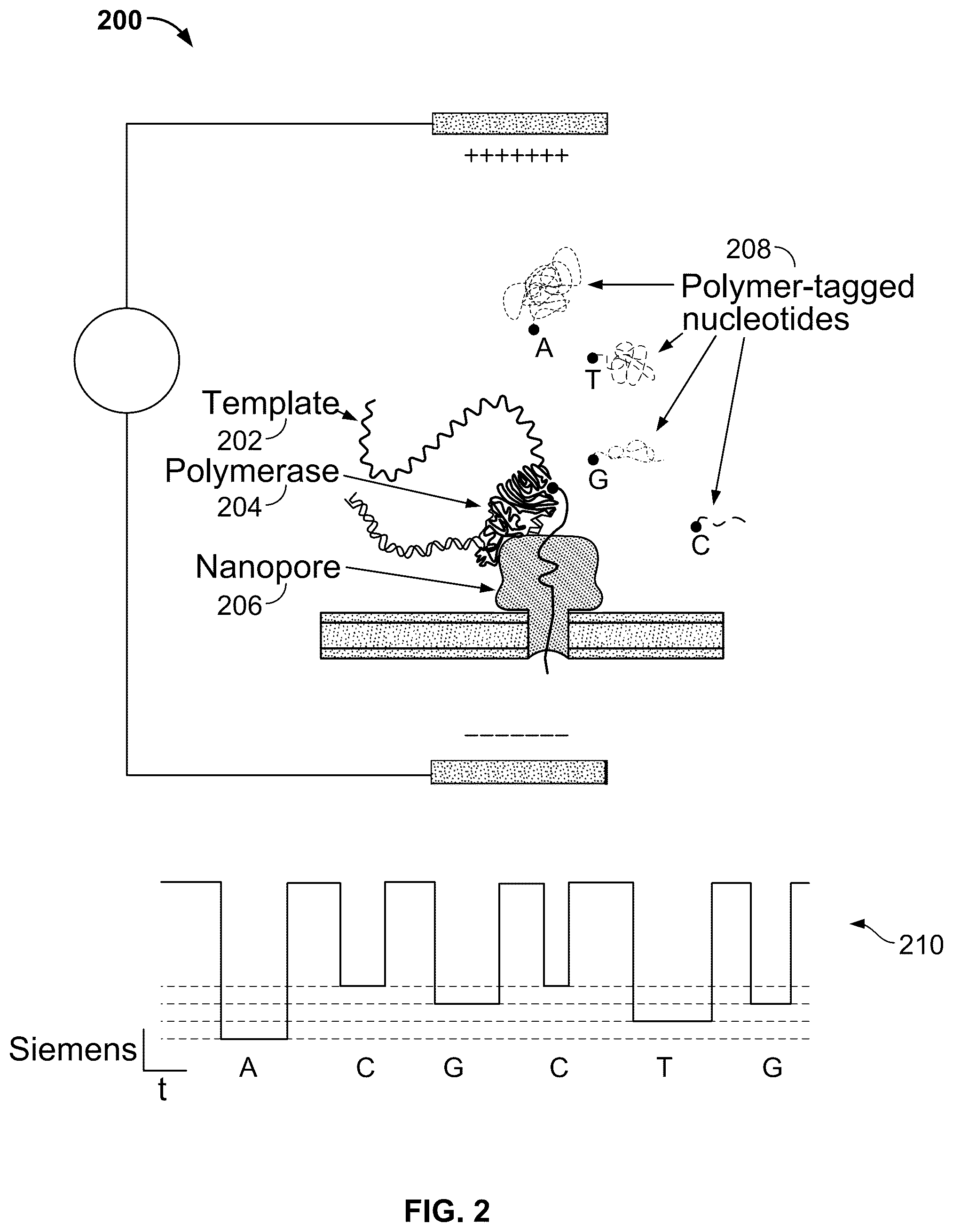 Patent US12139743 Figure 2 – Method for inline bilayer capacitance monitoring