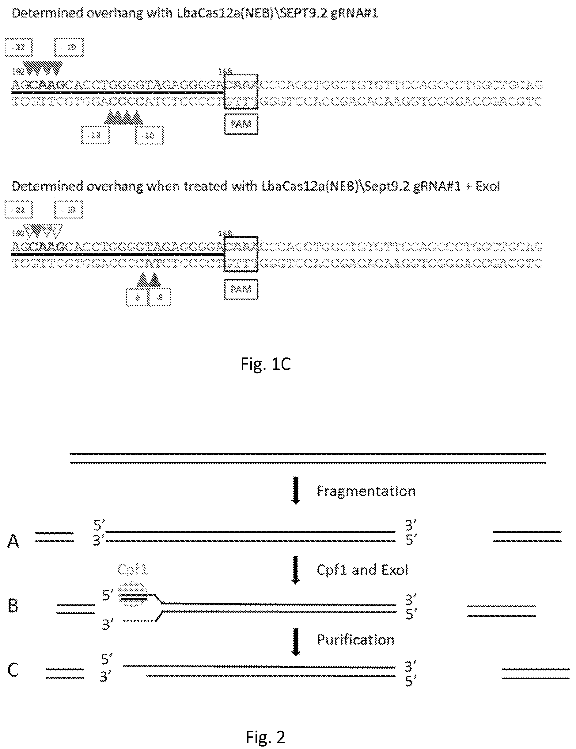 Patent US12139746 Figure 2 – Method of nucleic acid enrichment using site-specific nucleases followed by capture