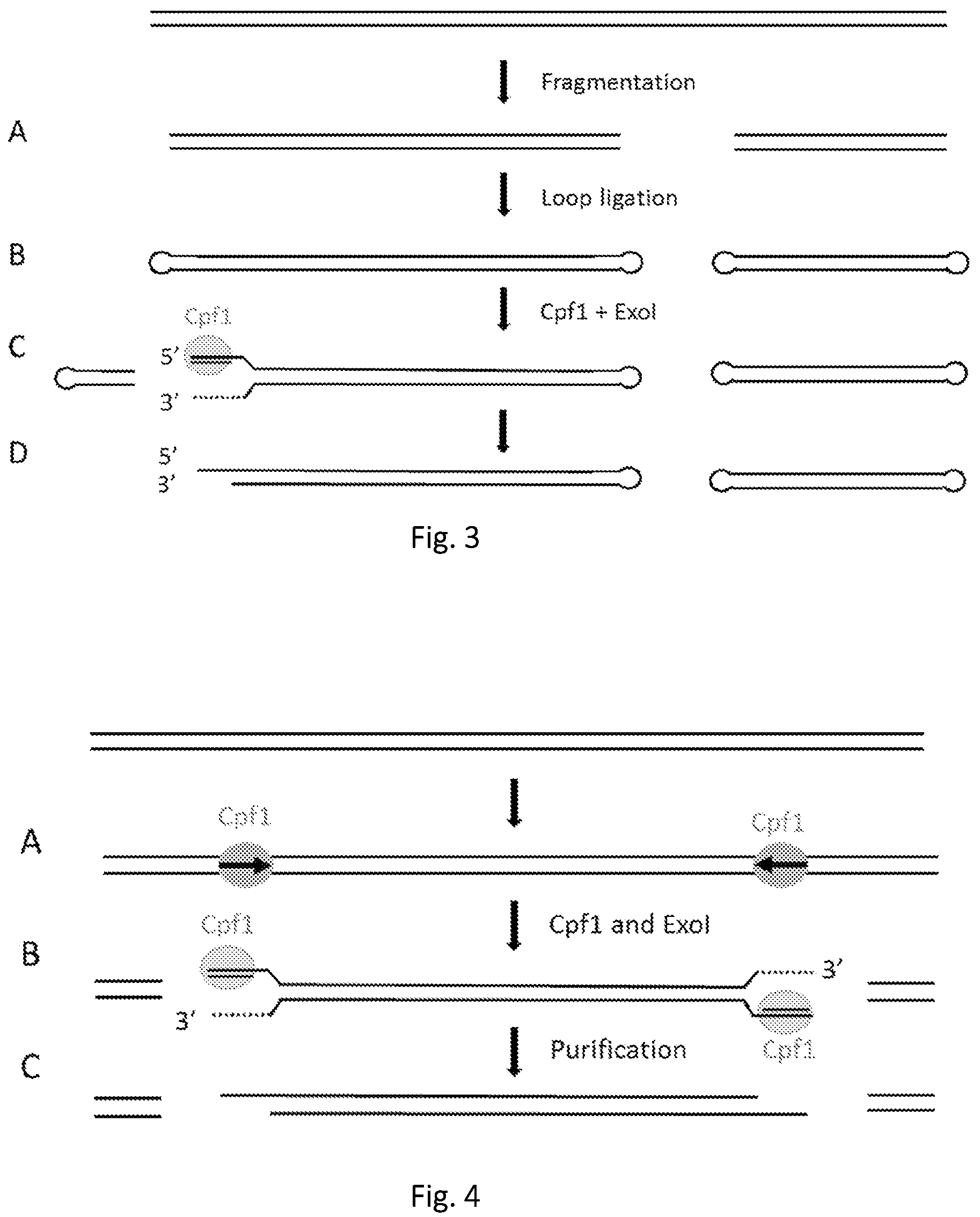 Patent US12139746 Figure 3 – Method of nucleic acid enrichment using site-specific nucleases followed by capture