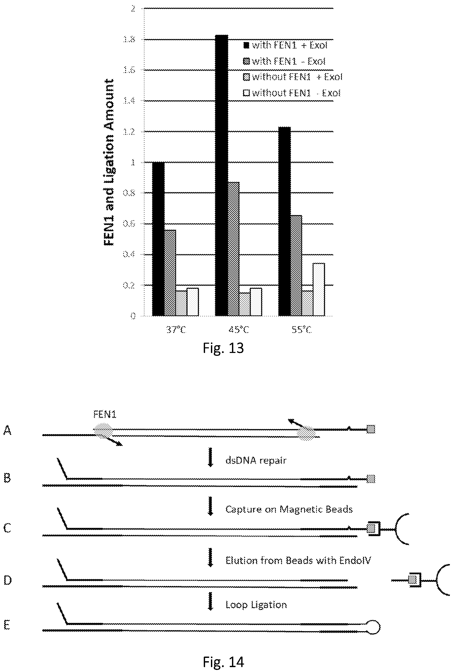 Patent US12139746 Figure 12 – Method of nucleic acid enrichment using site-specific nucleases followed by capture