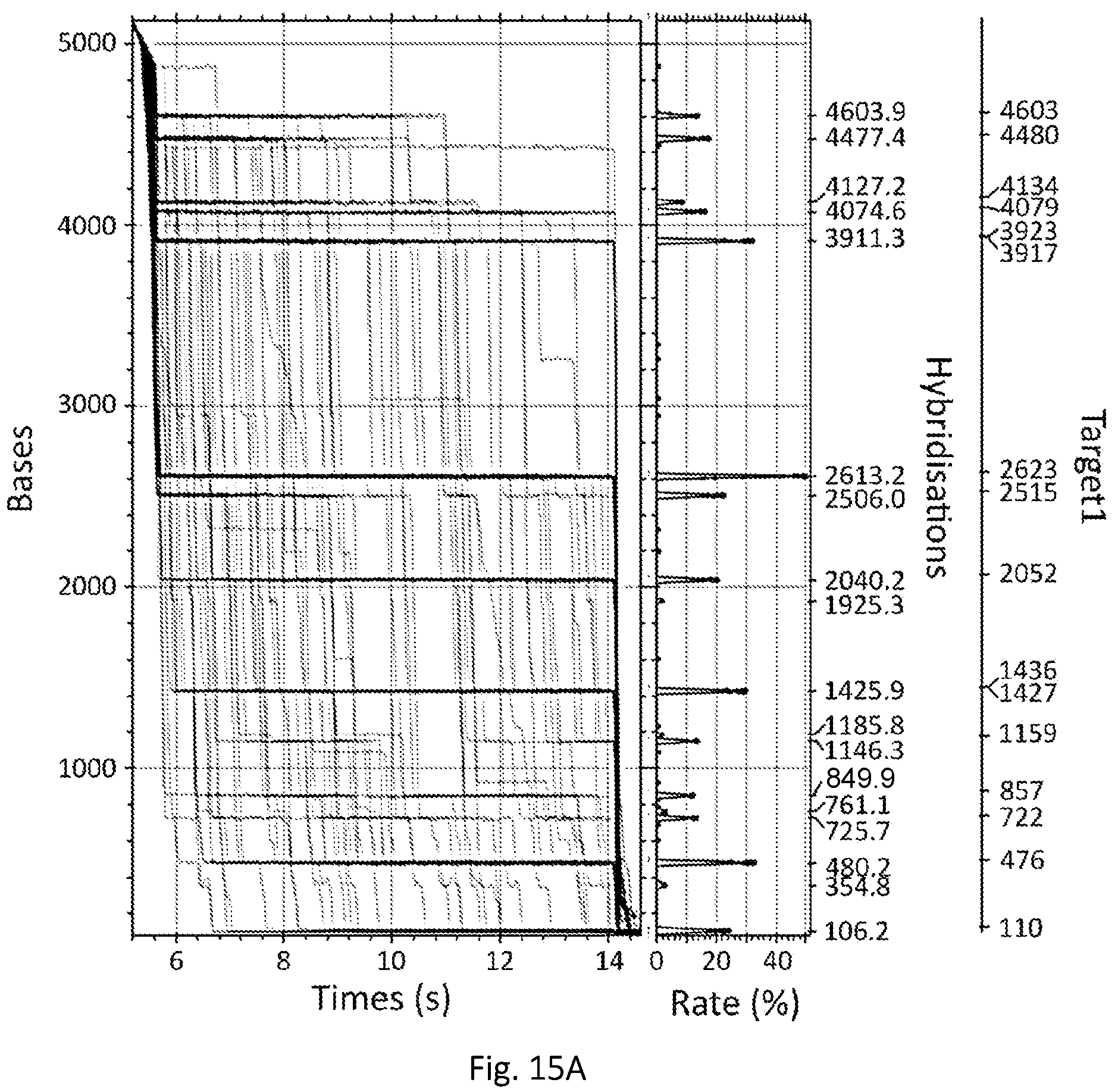 Patent US12139746 Figure 13 – Method of nucleic acid enrichment using site-specific nucleases followed by capture