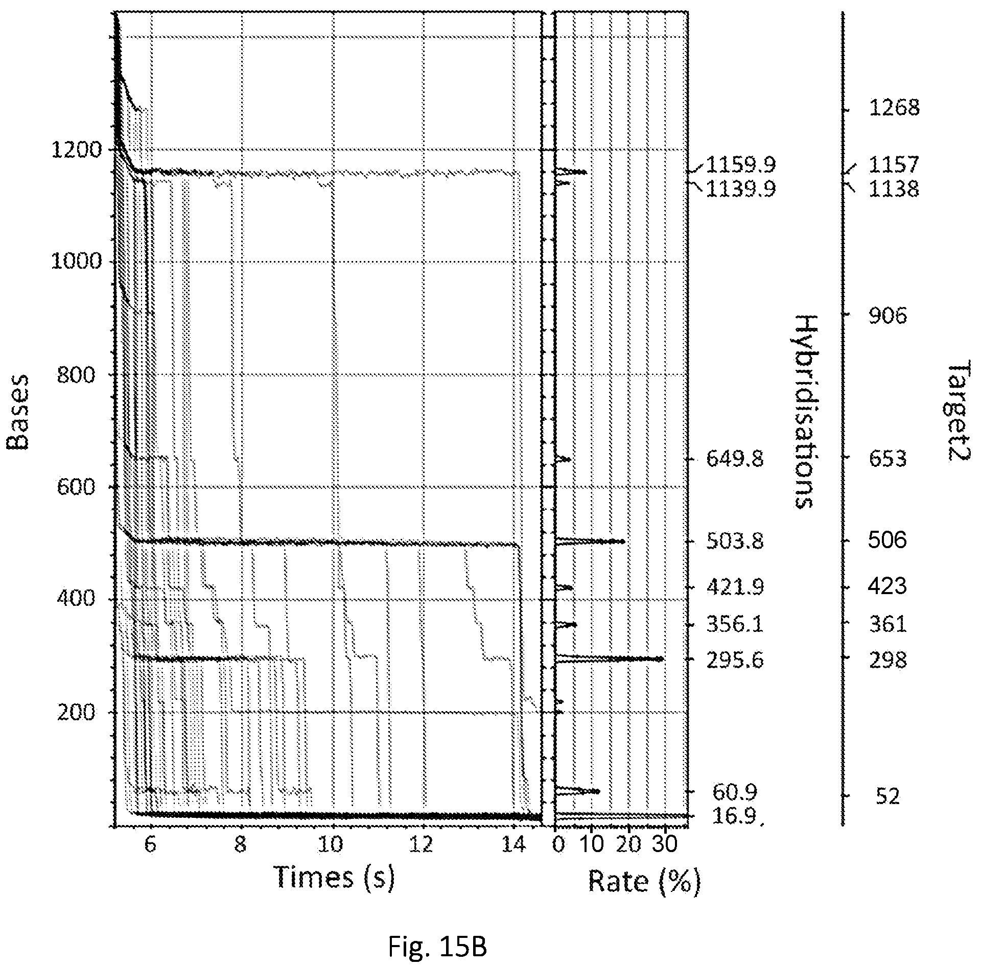 Patent US12139746 Figure 14 – Method of nucleic acid enrichment using site-specific nucleases followed by capture