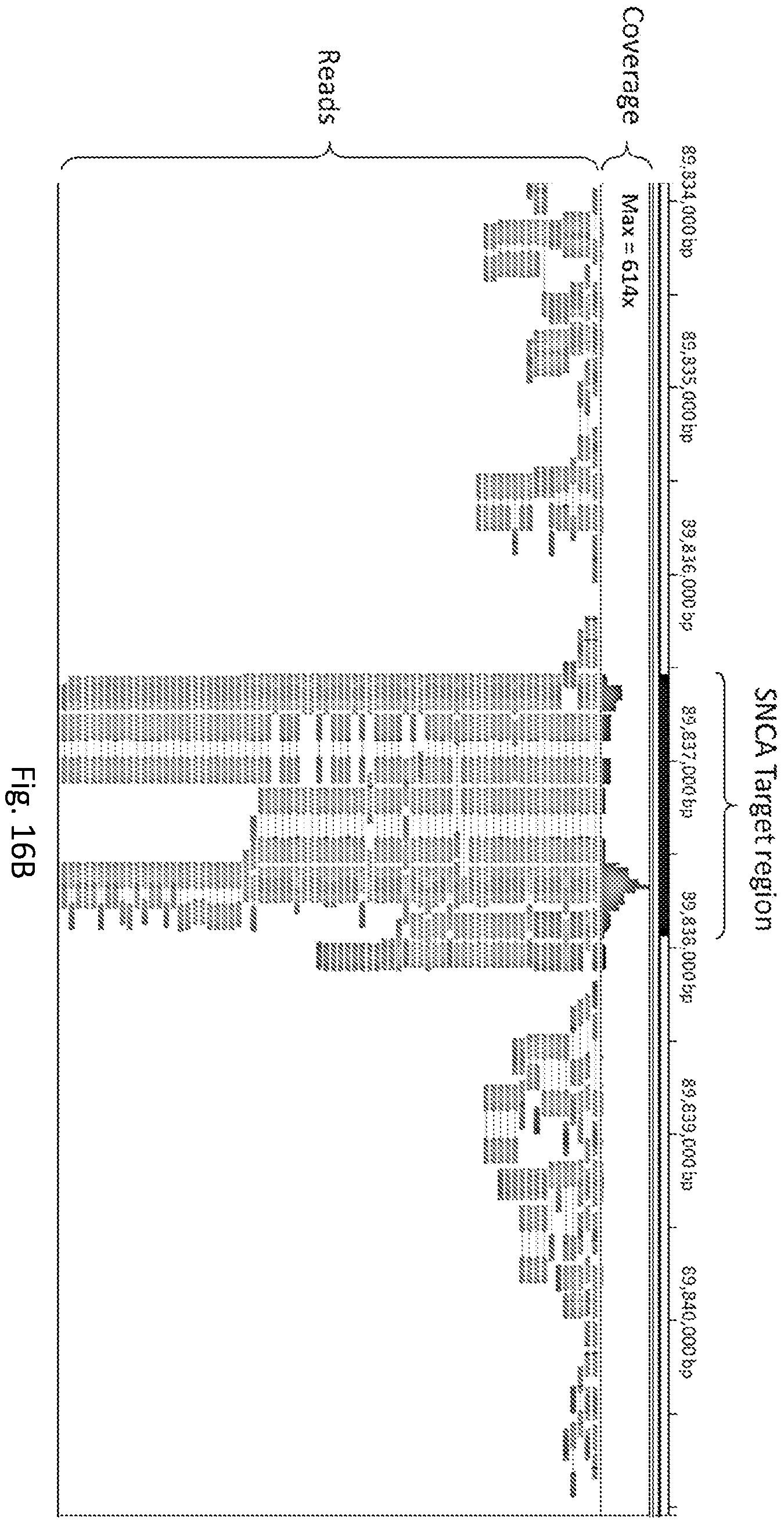 Patent US12139746 Figure 16 – Method of nucleic acid enrichment using site-specific nucleases followed by capture