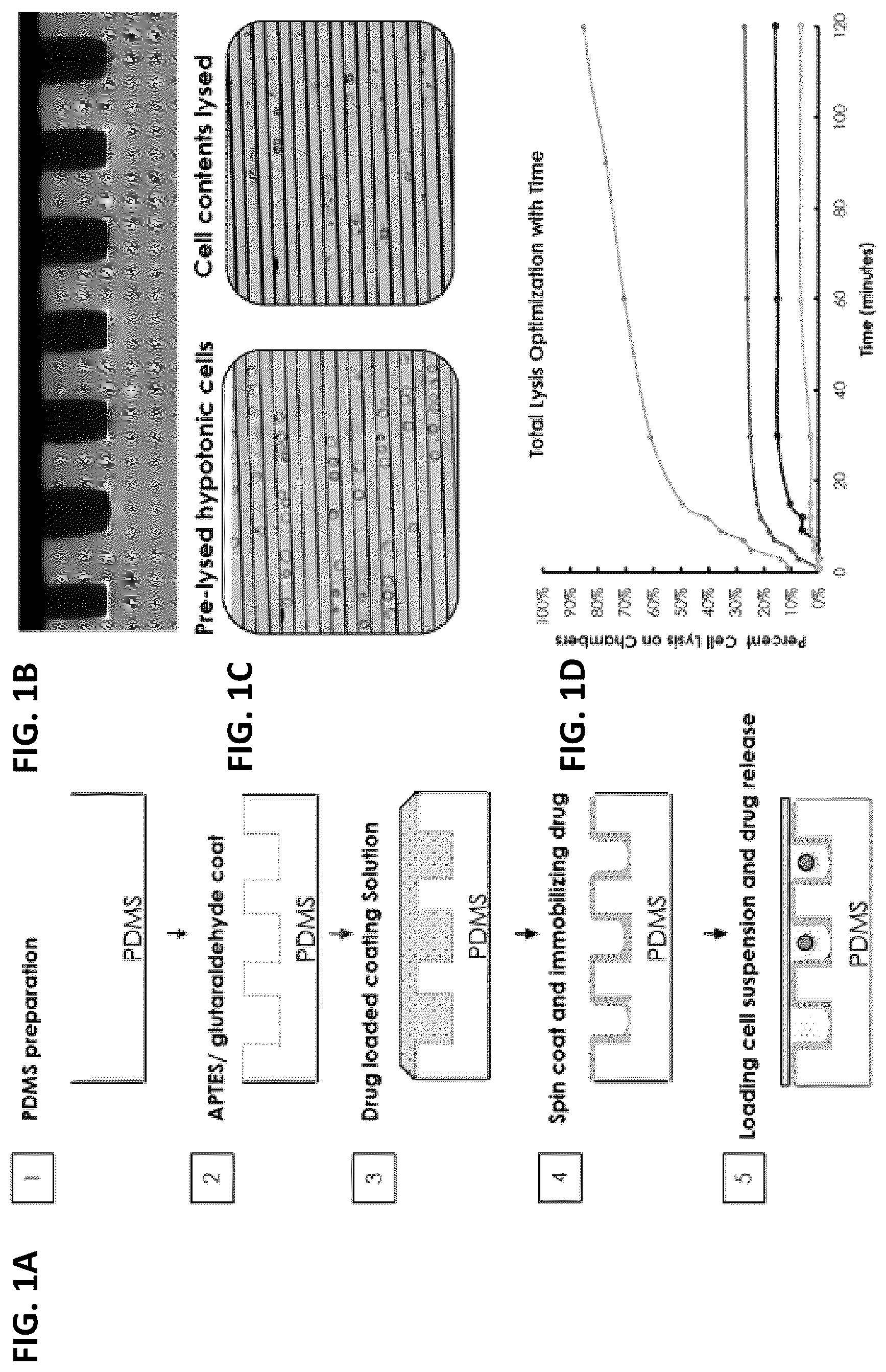 Patent US12139748 Figure 1 – Compositions and methods for the simultaneous genomic, transcriptomic and proteomic analysis of single cells