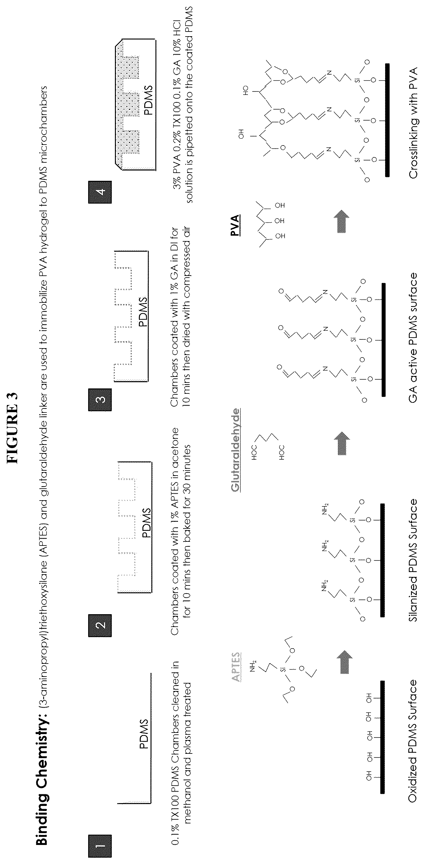 Patent US12139748 Figure 3 – Compositions and methods for the simultaneous genomic, transcriptomic and proteomic analysis of single cells