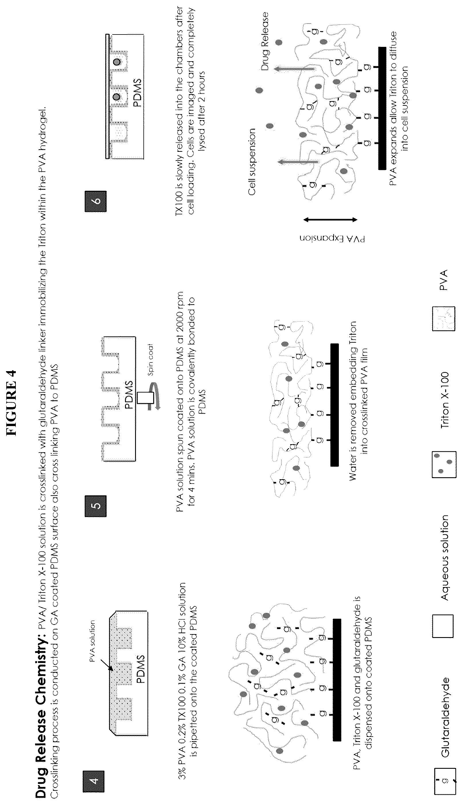 Patent US12139748 Figure 4 – Compositions and methods for the simultaneous genomic, transcriptomic and proteomic analysis of single cells