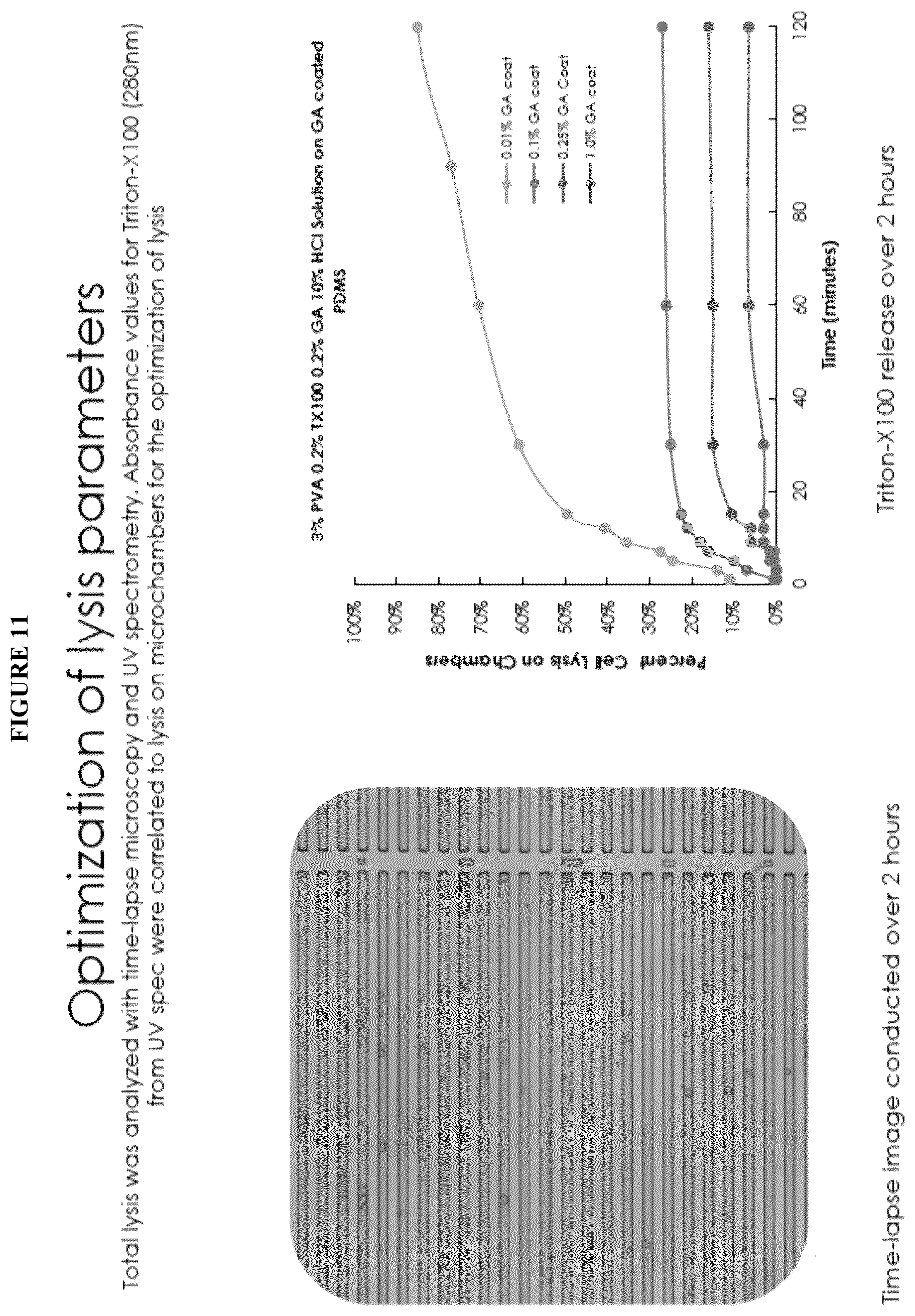 Patent US12139748 Figure 11 – Compositions and methods for the simultaneous genomic, transcriptomic and proteomic analysis of single cells