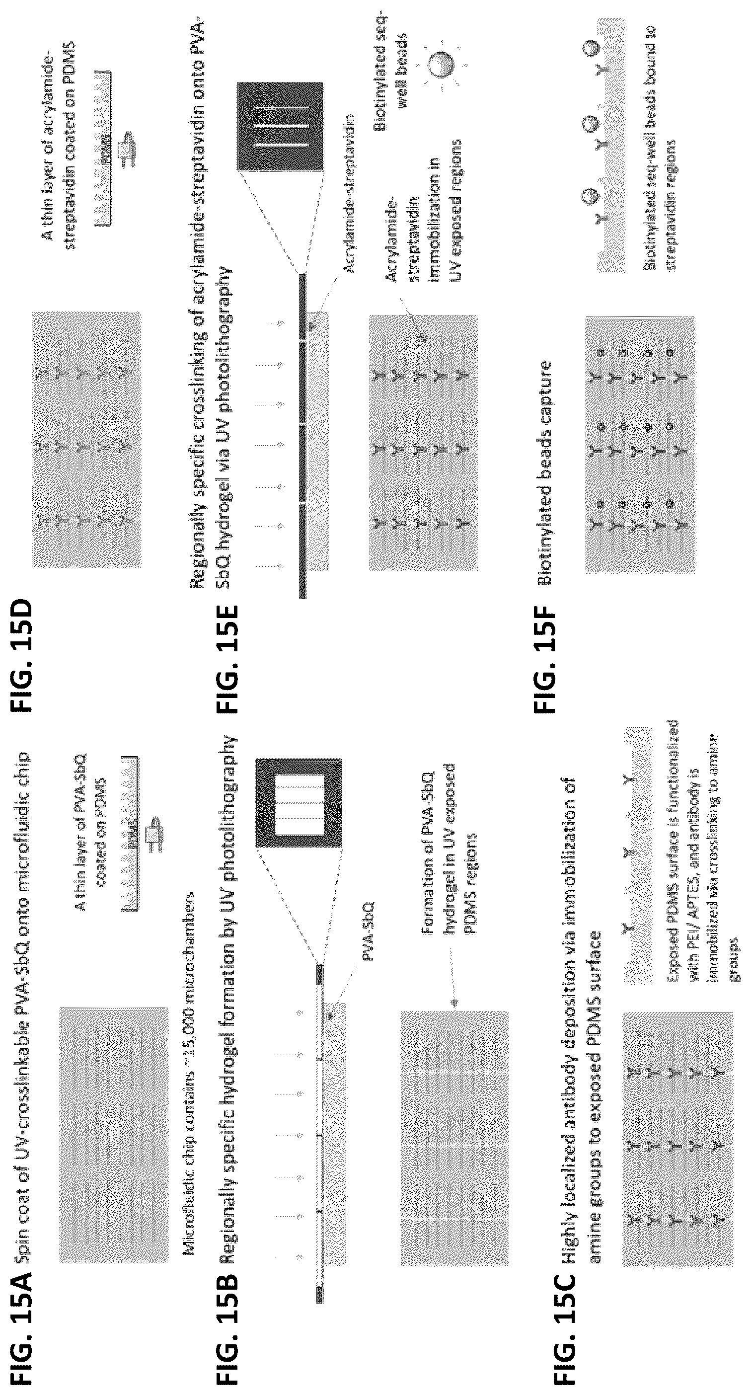 Patent US12139748 Figure 15 – Compositions and methods for the simultaneous genomic, transcriptomic and proteomic analysis of single cells