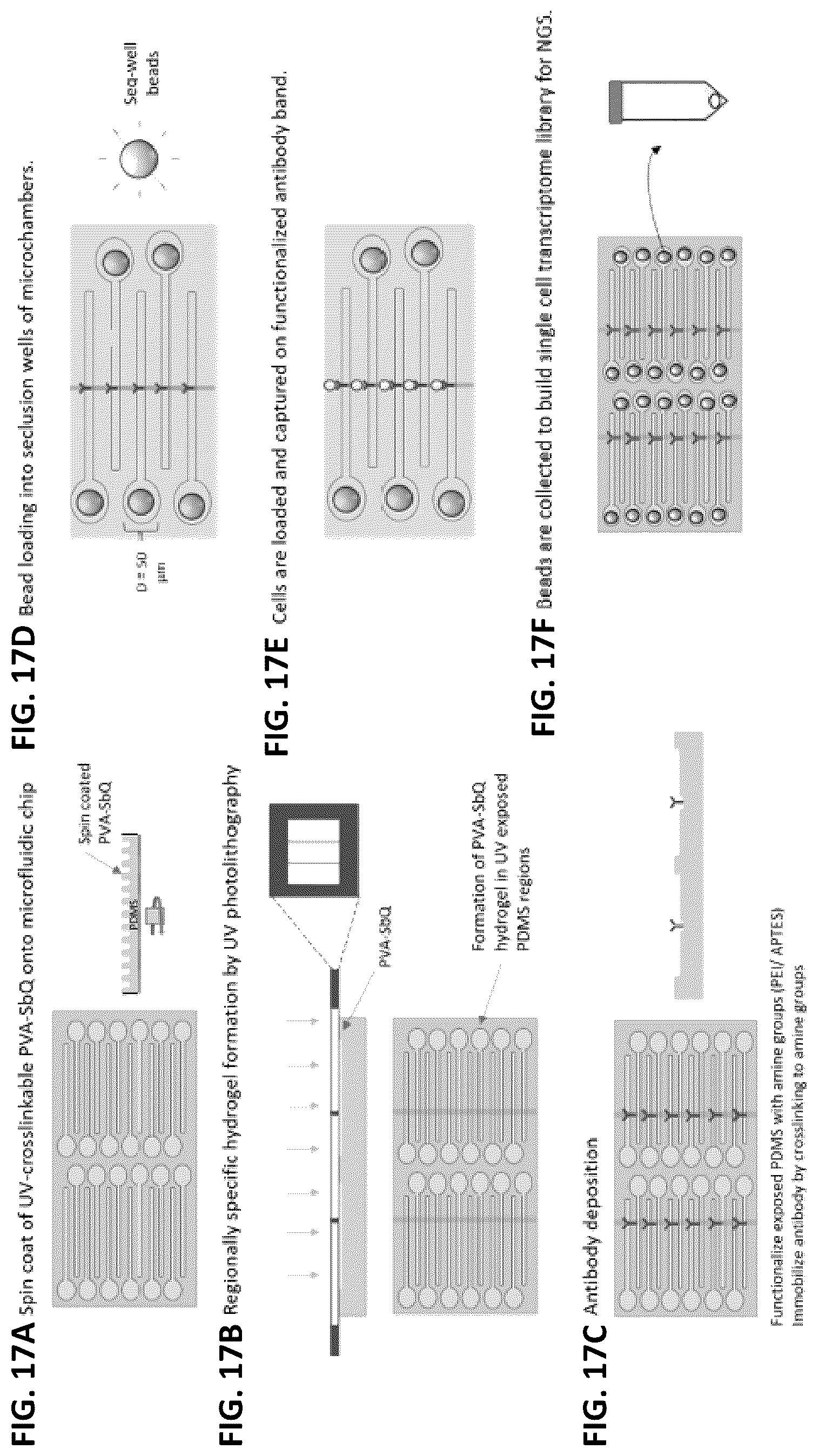 Patent US12139748 Figure 18 – Compositions and methods for the simultaneous genomic, transcriptomic and proteomic analysis of single cells