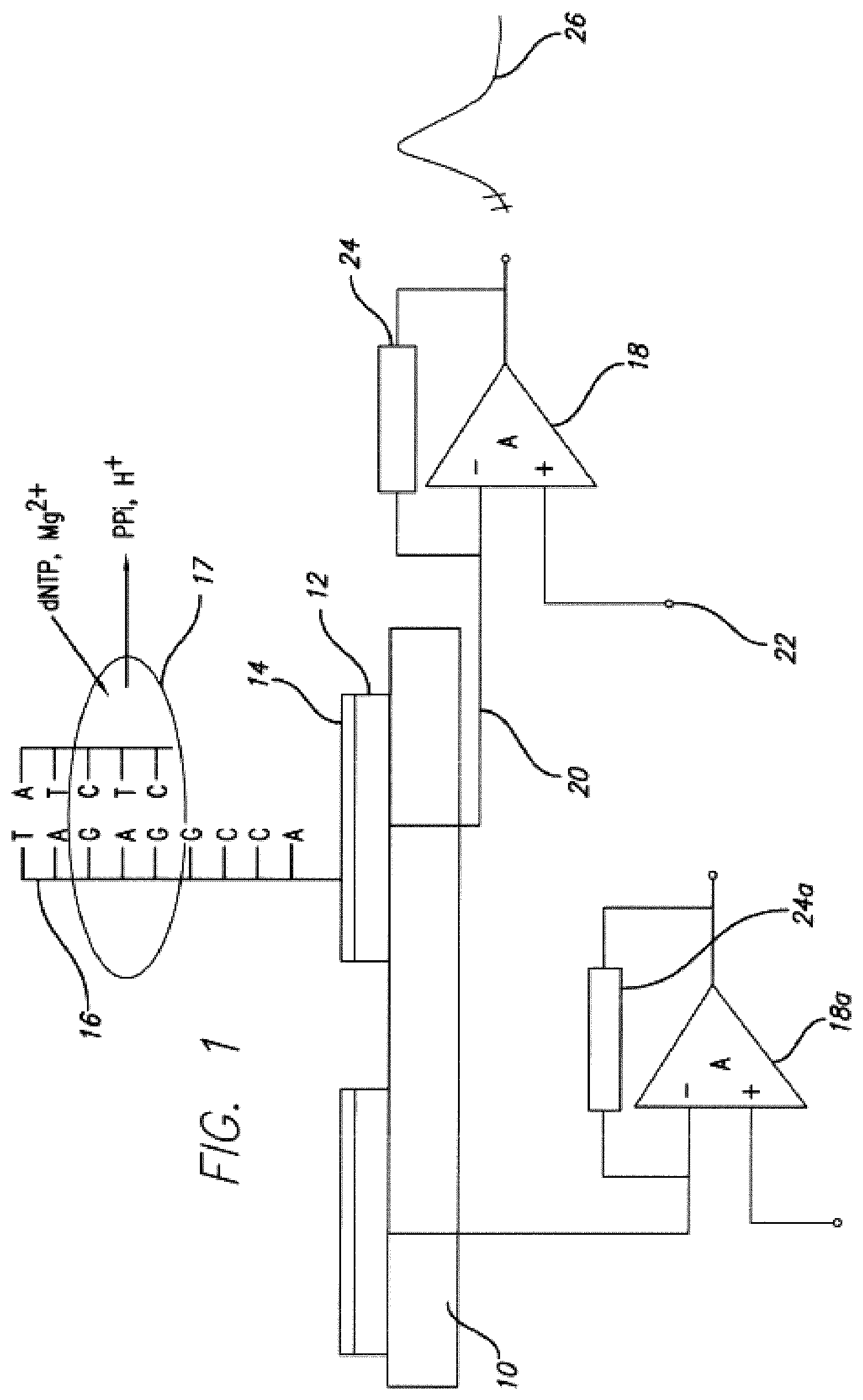 Patent US12139749 Figure 1 – Charge perturbation detection system for DNA and other molecules