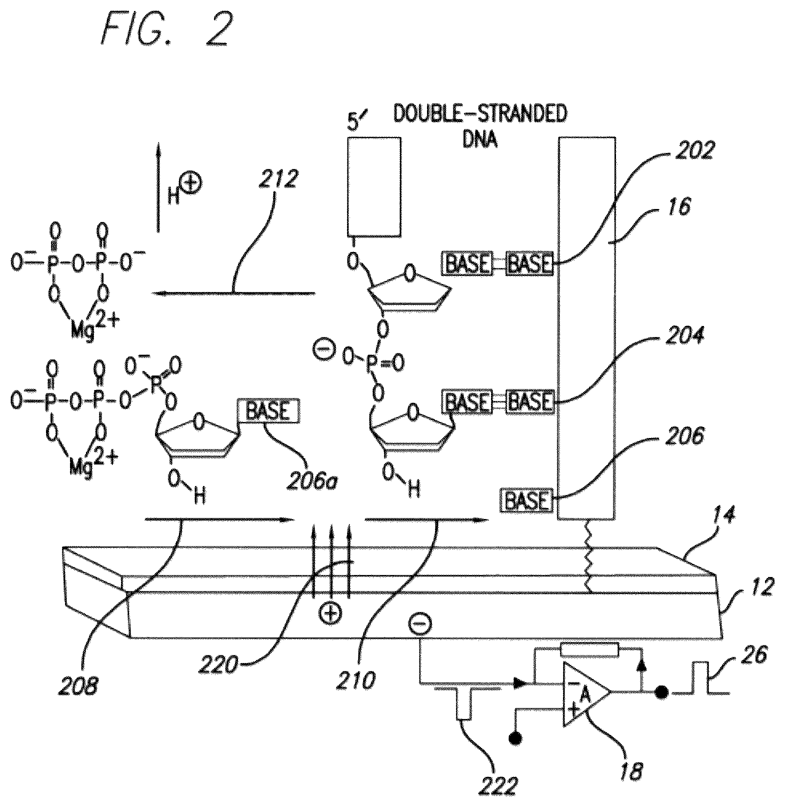 Patent US12139749 Figure 2 – Charge perturbation detection system for DNA and other molecules