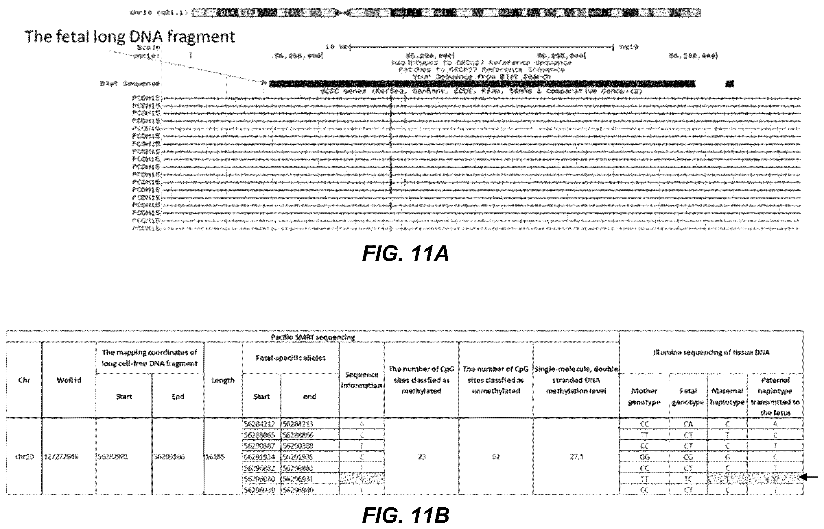 Patent US12139750 Figure 11 – Molecular analyses using long cell-free fragments in pregnancy