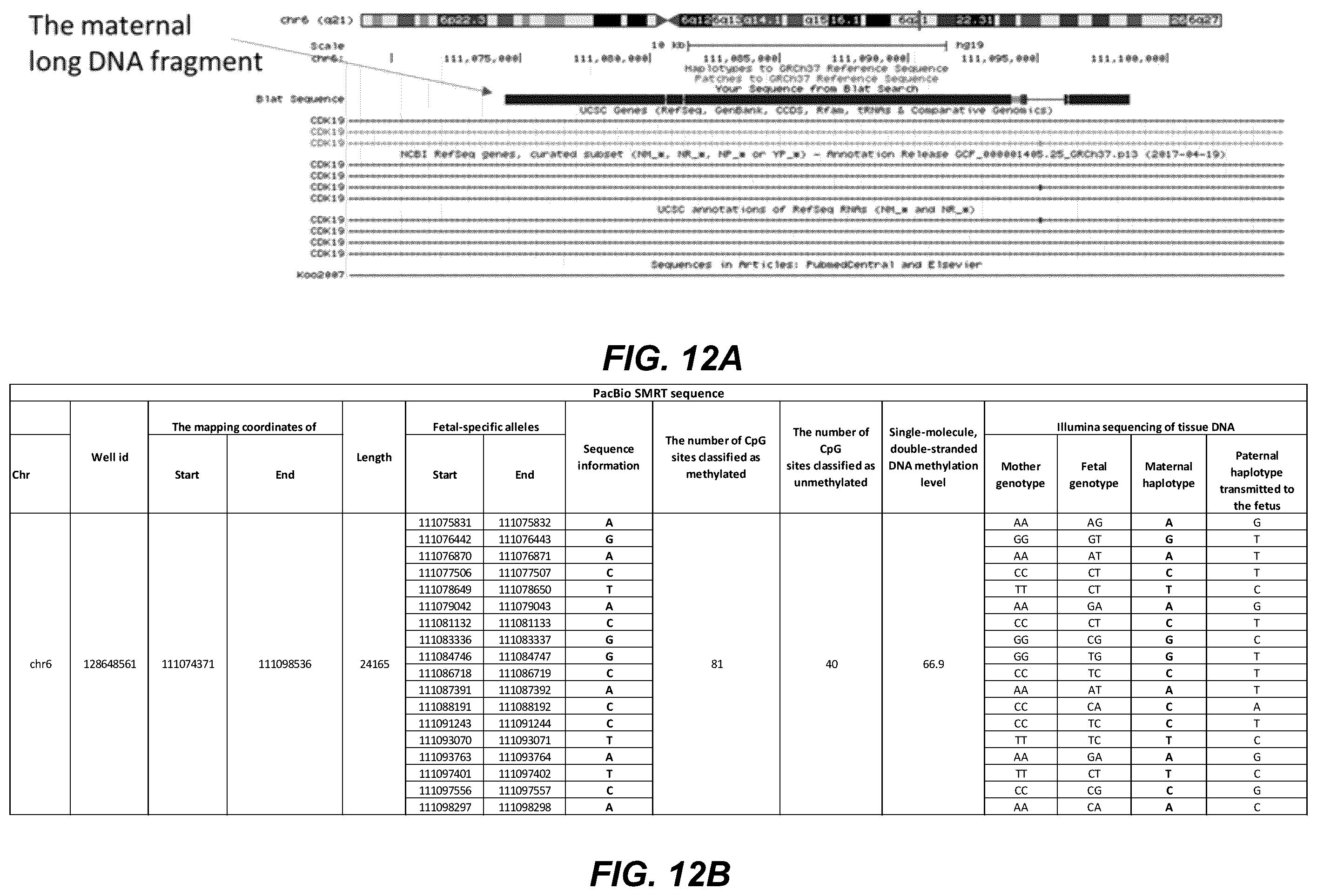 Patent US12139750 Figure 12 – Molecular analyses using long cell-free fragments in pregnancy