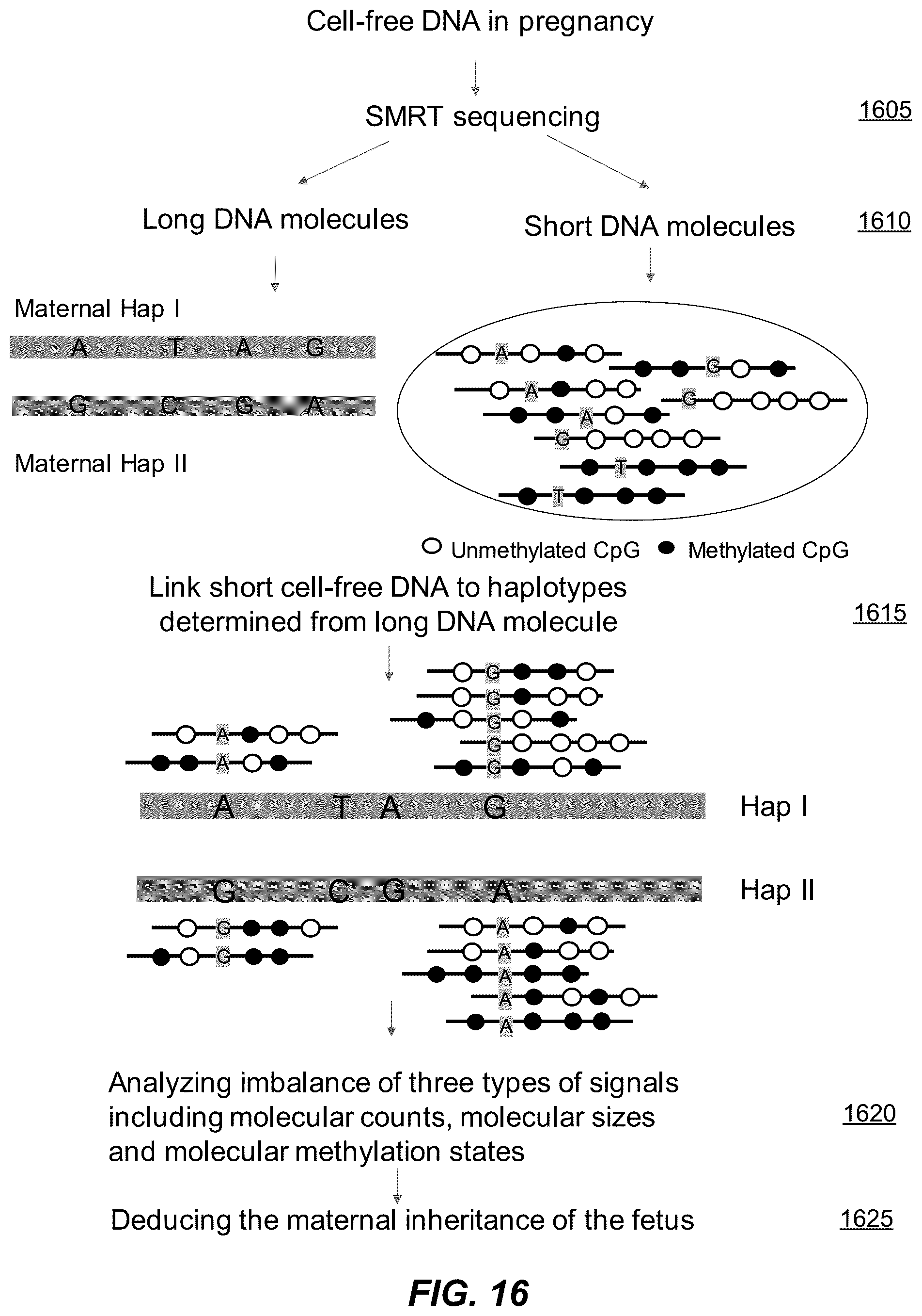 Patent US12139750 Figure 16 – Molecular analyses using long cell-free fragments in pregnancy