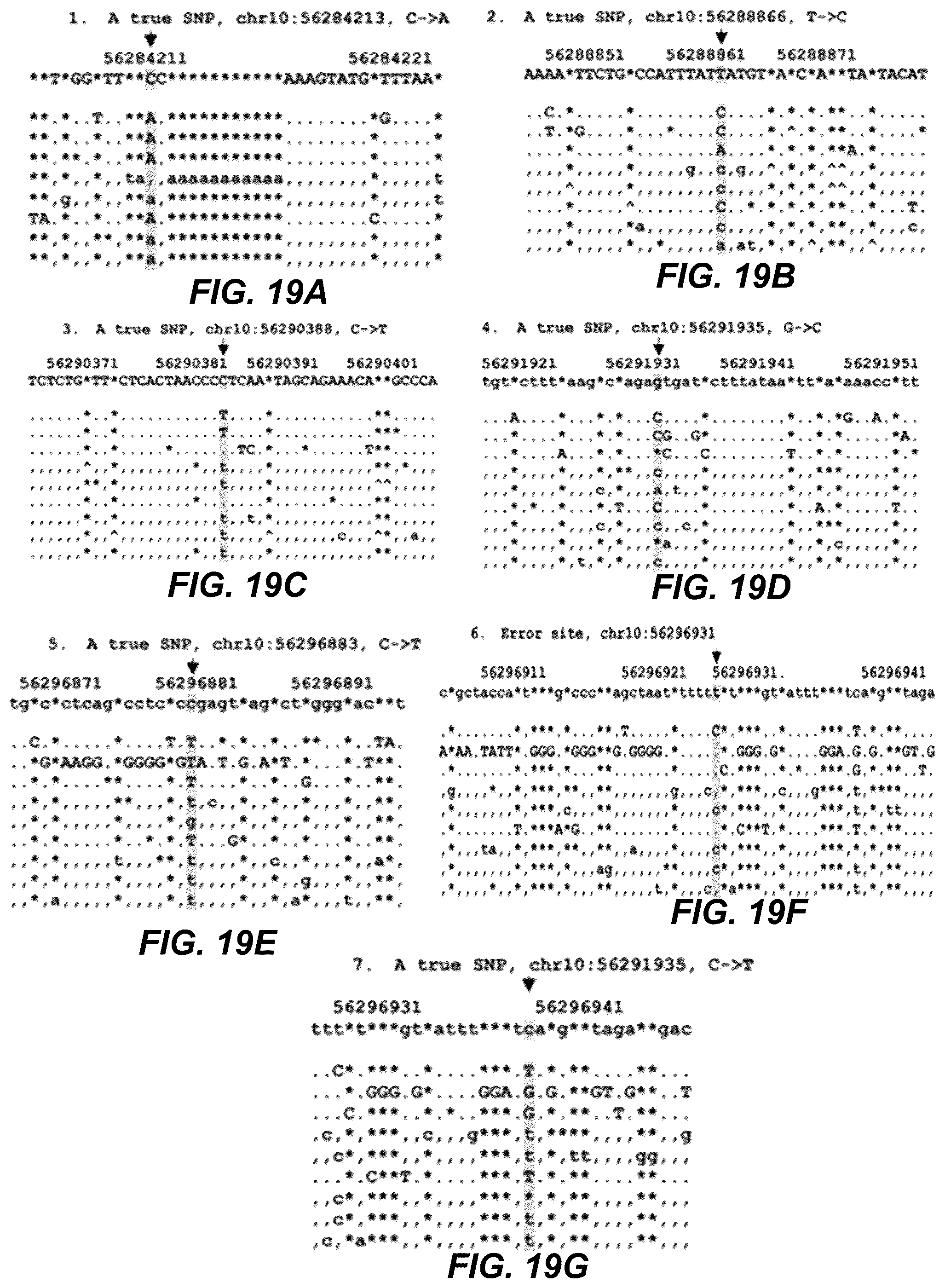 Patent US12139750 Figure 19 – Molecular analyses using long cell-free fragments in pregnancy