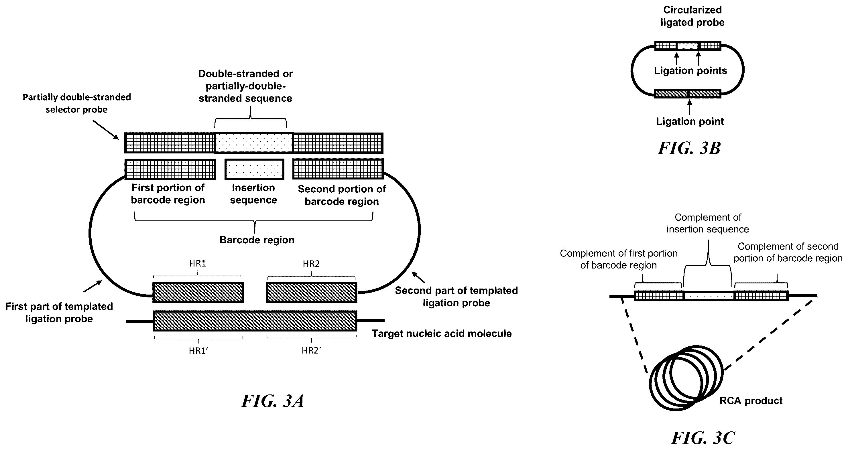 Patent US12139751 Figure 3 – Circularizable probes for in situ analysis