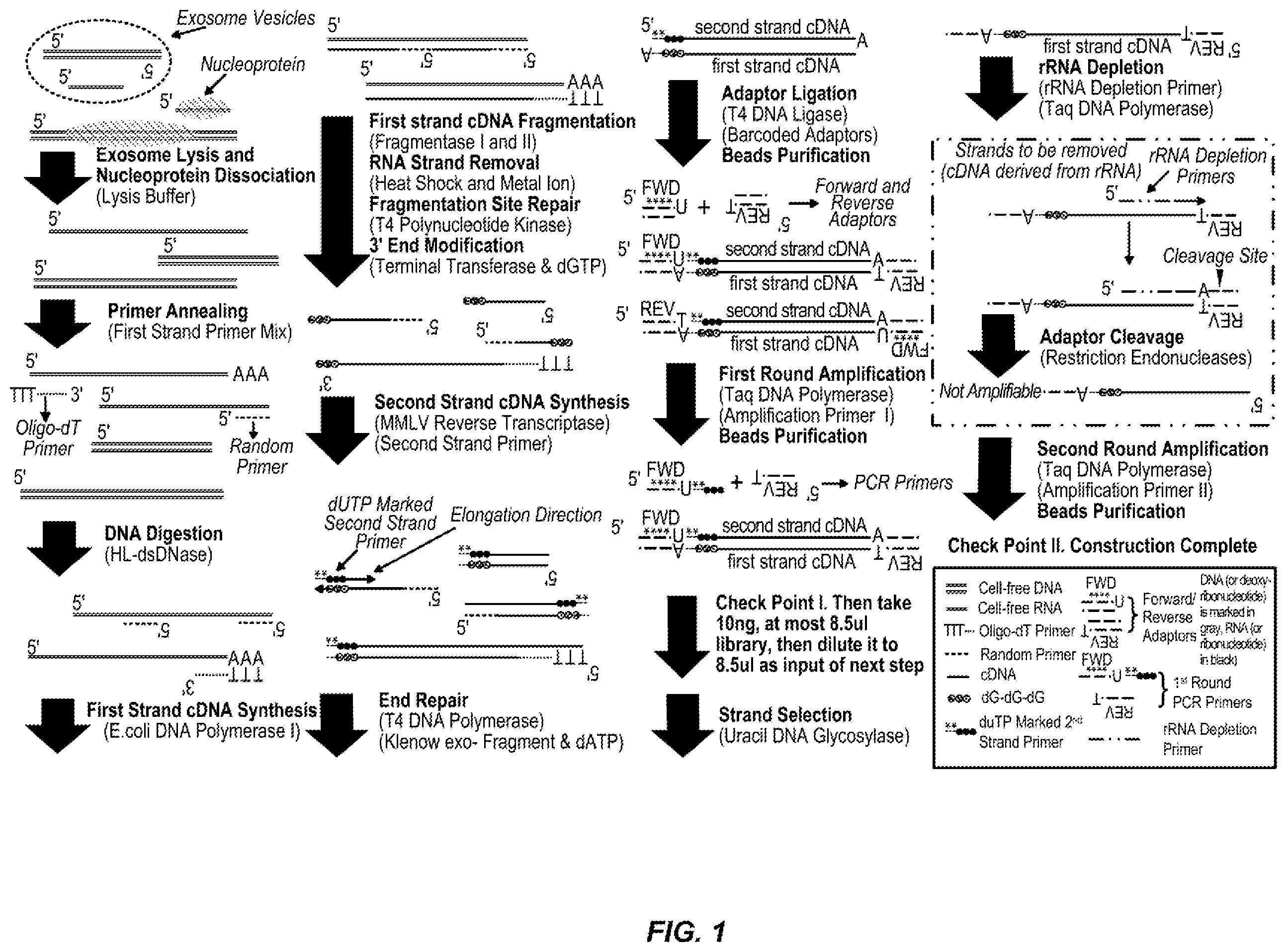 Patent US12139752 Figure 1 – Methods for RNA sequencing