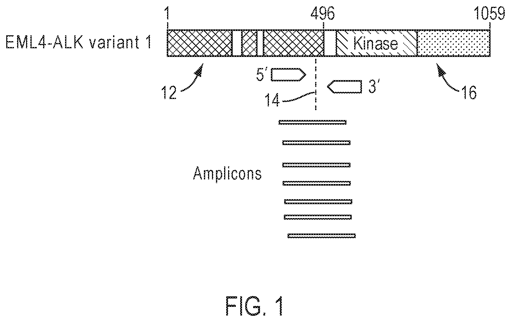 Patent US12139753 Figure 1 – Methods for partner agnostic gene fusion detection