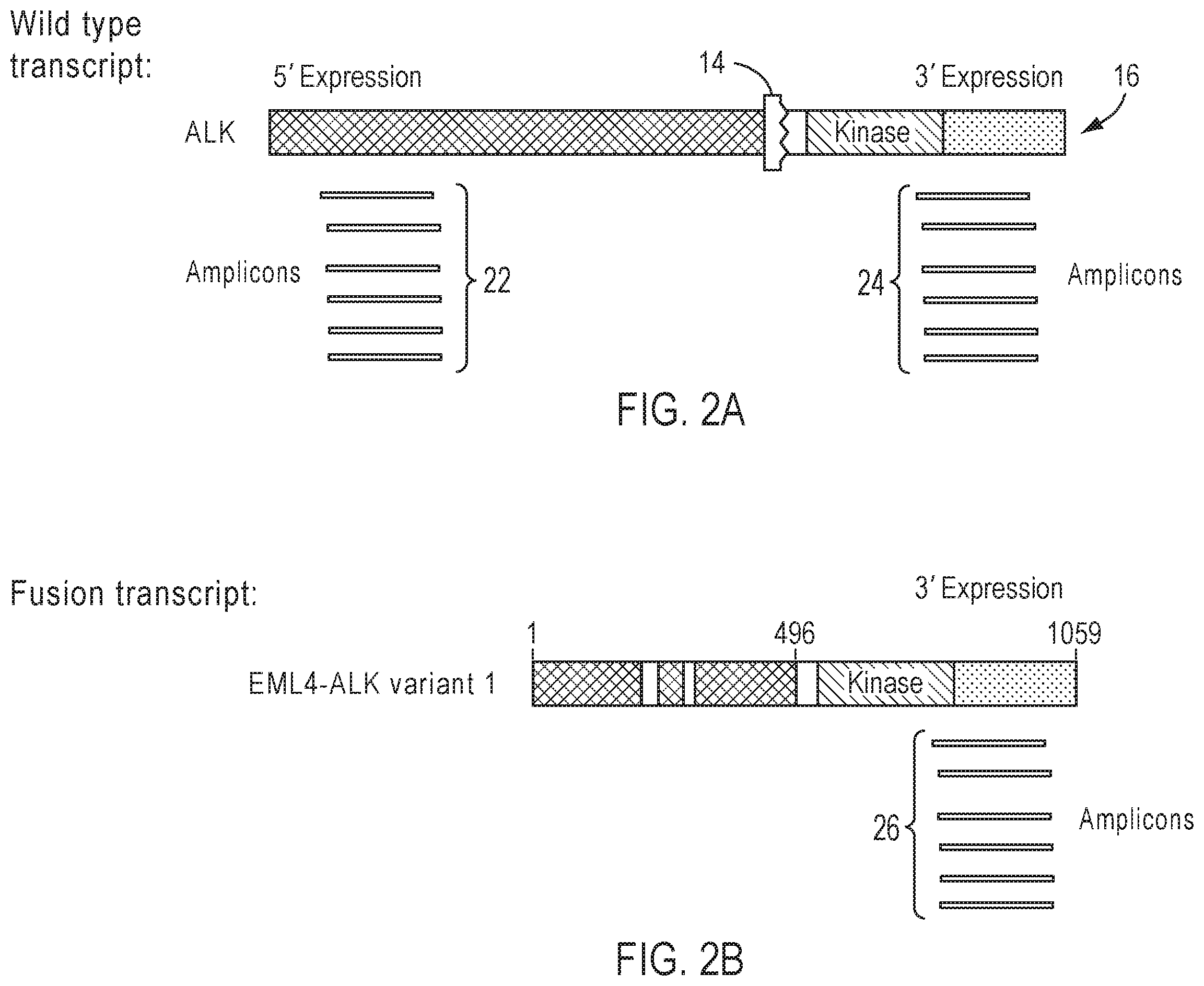 Patent US12139753 Figure 2 – Methods for partner agnostic gene fusion detection