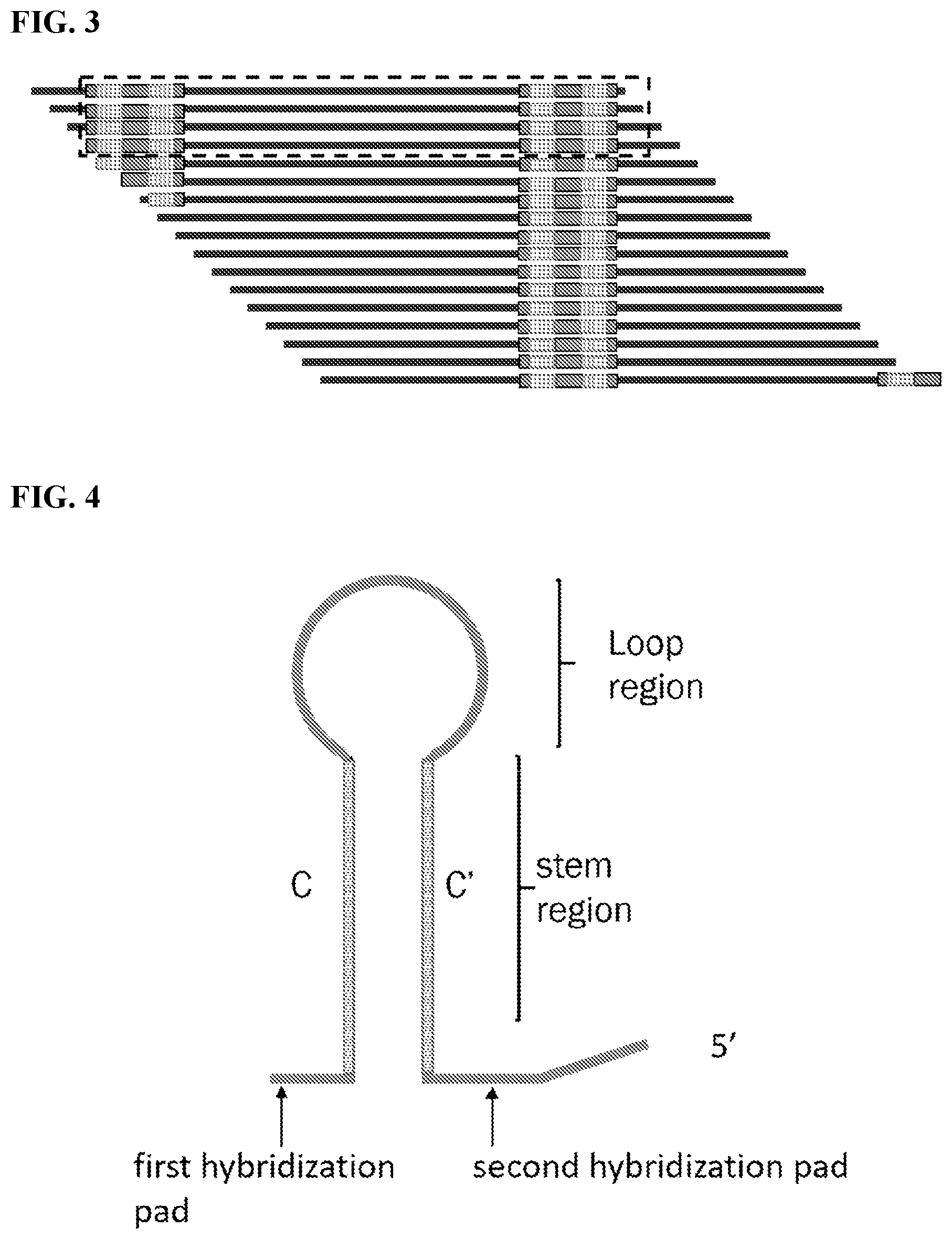 Patent US12139754 Figure 4 – Polynucleotide barcodes for long read sequencing