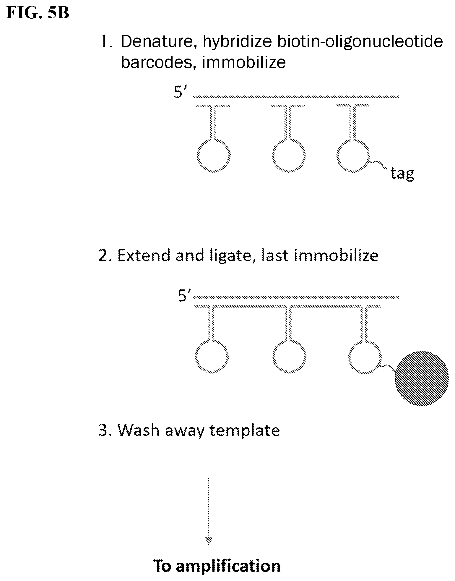 Patent US12139754 Figure 6 – Polynucleotide barcodes for long read sequencing