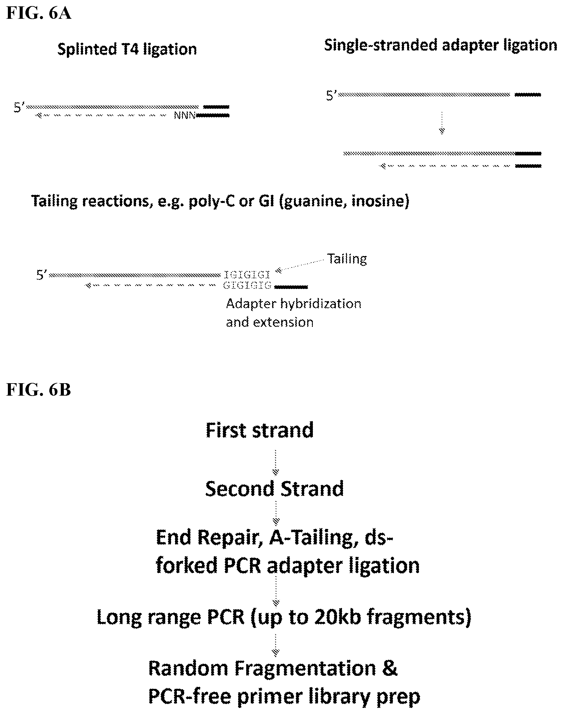 Patent US12139754 Figure 8 – Polynucleotide barcodes for long read sequencing