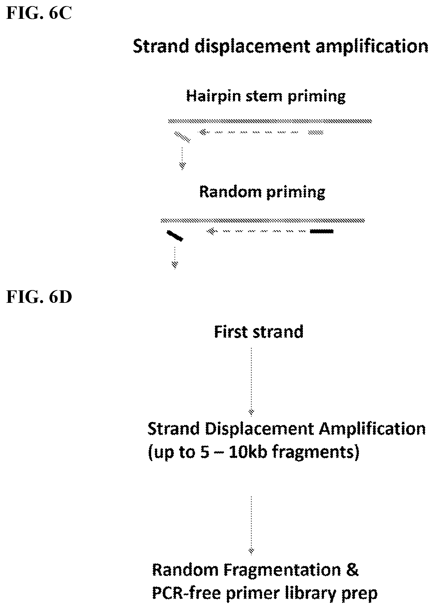 Patent US12139754 Figure 9 – Polynucleotide barcodes for long read sequencing