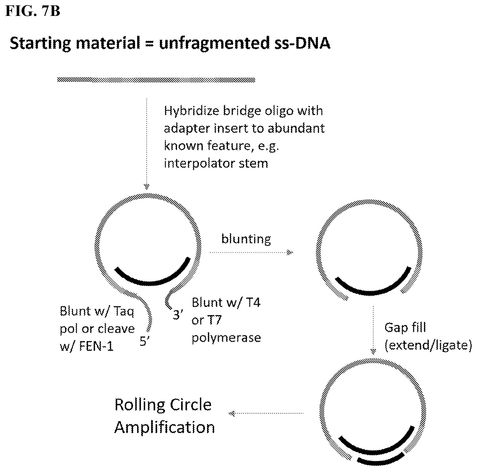 Patent US12139754 Figure 11 – Polynucleotide barcodes for long read sequencing